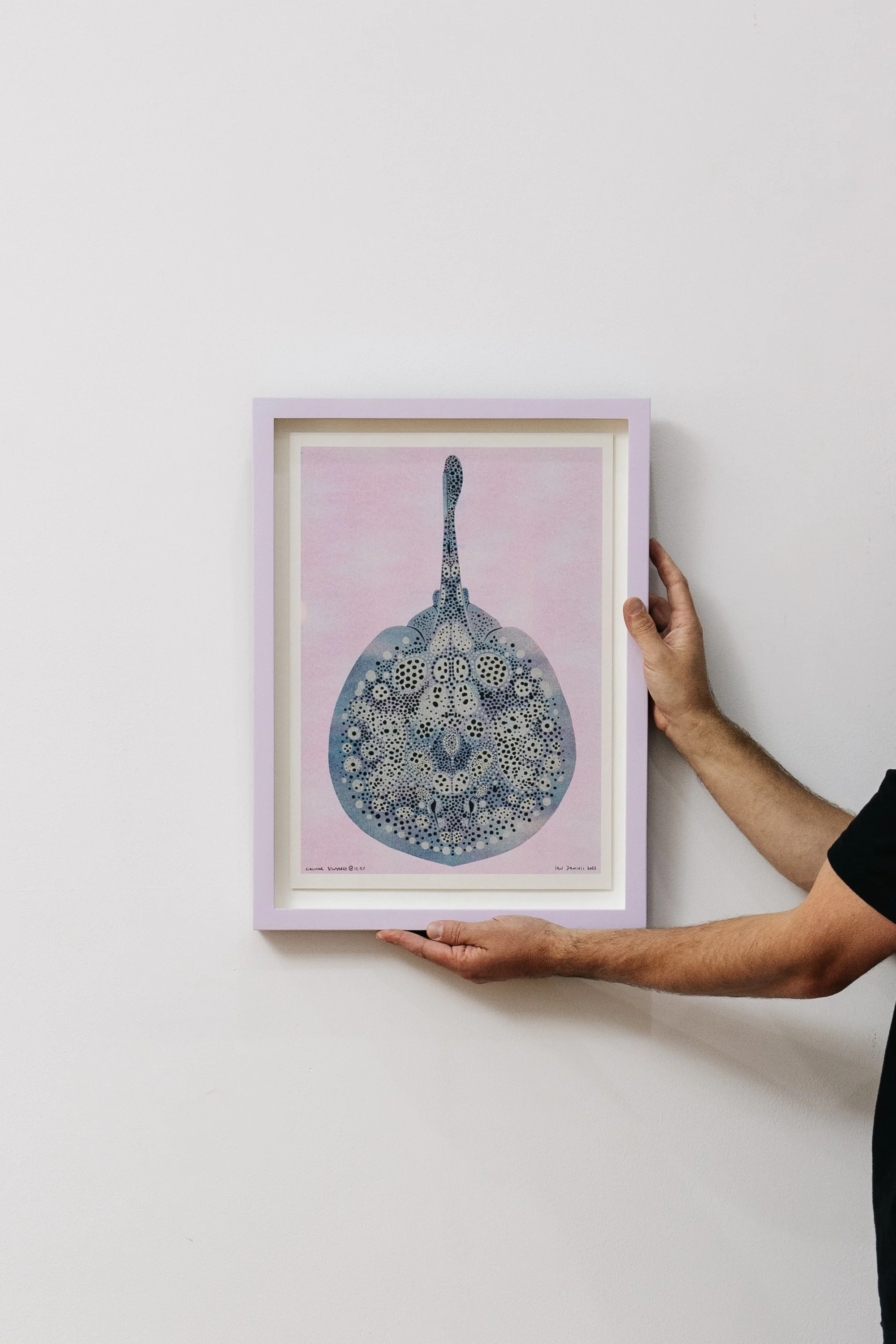 The Print CollectionIan DaniellAK-0B8A9515.jpg