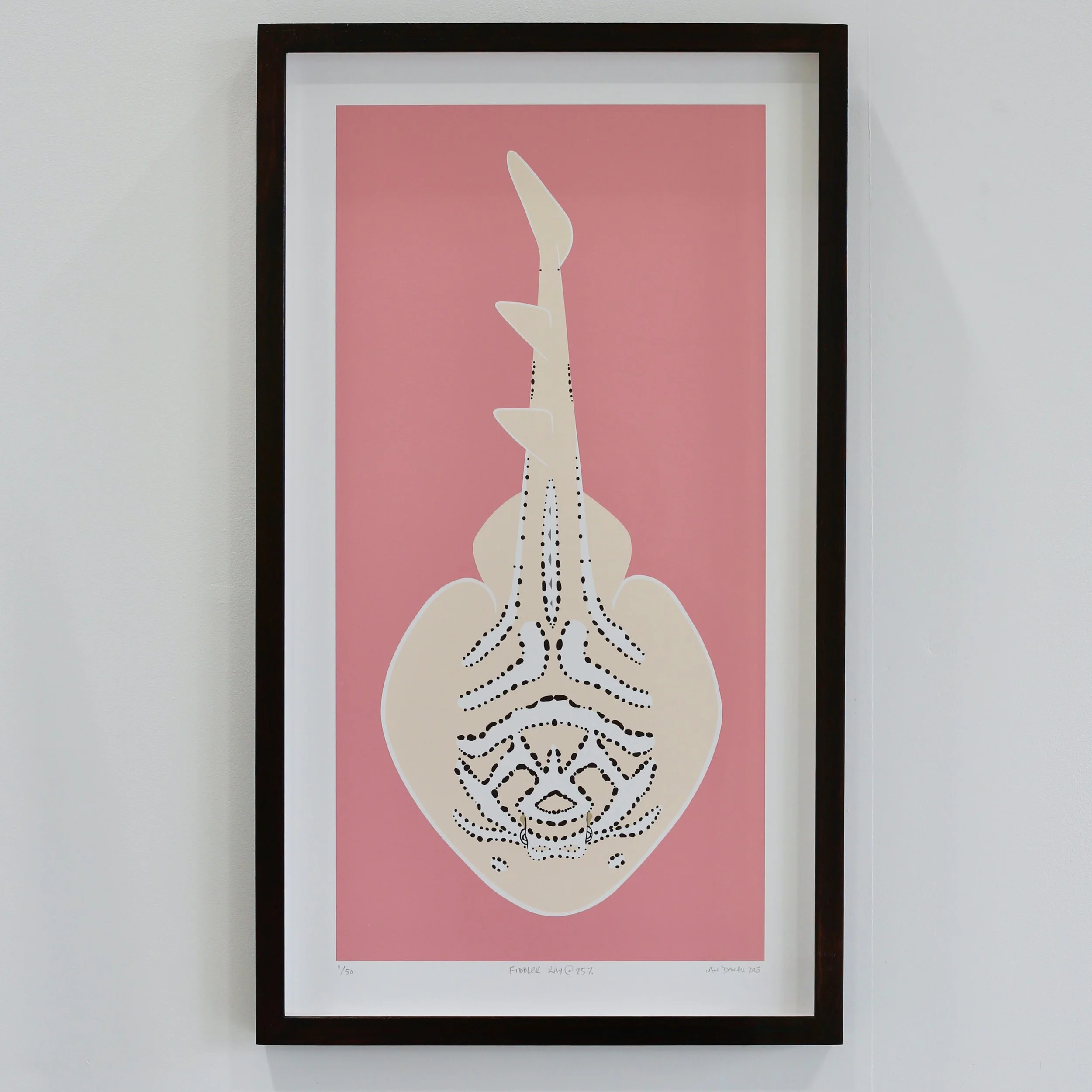 Ian Daniell Fiddler Ray Print_92A6634.JPG