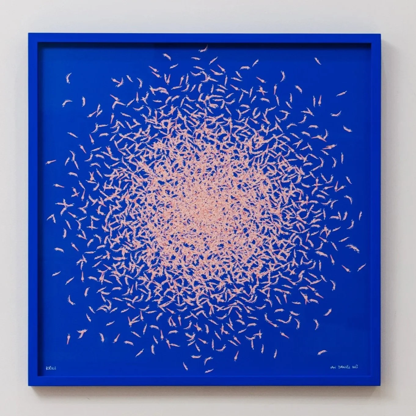 Krill Mini Swarm Blue Print