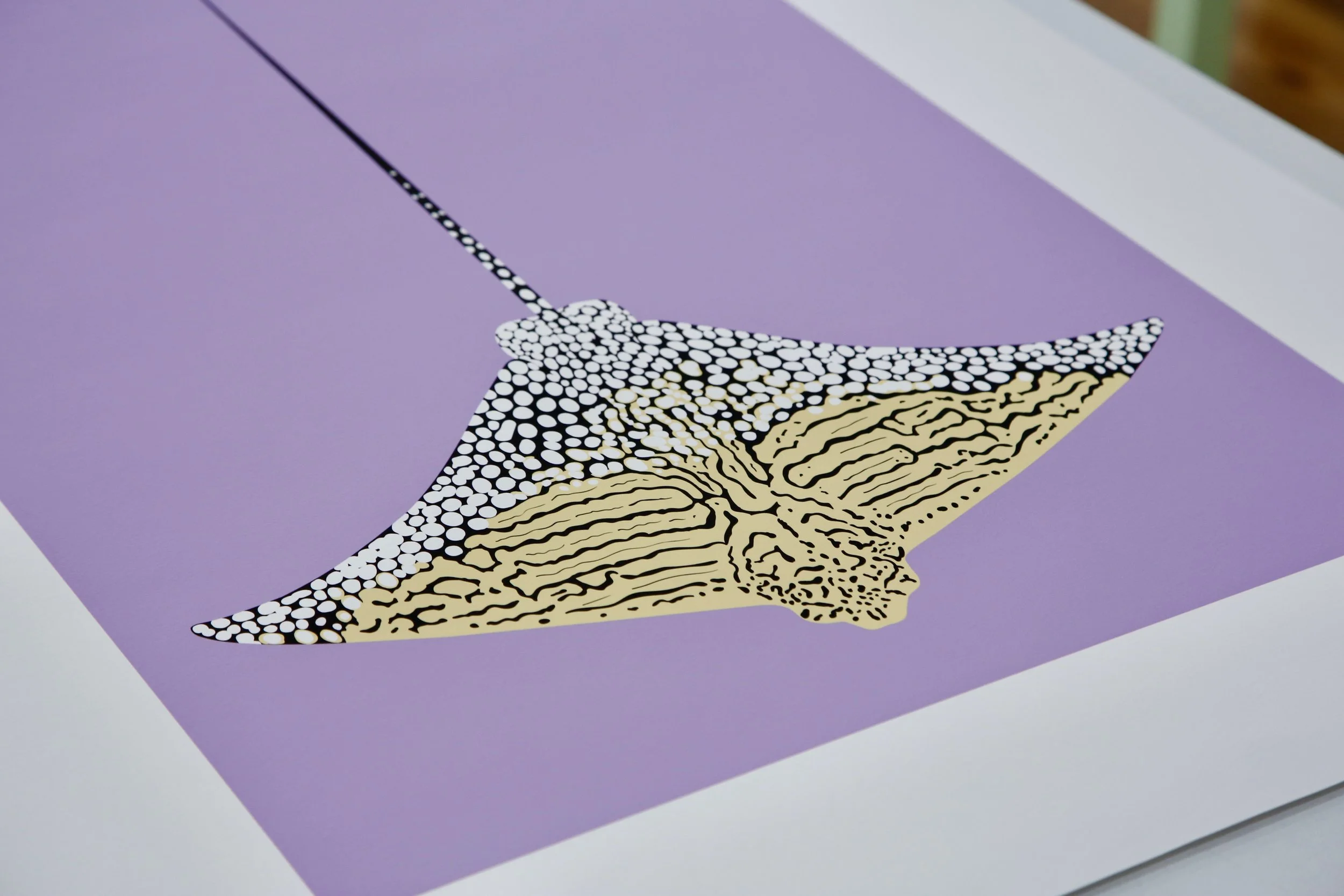 Ian Daniell Ornate Eagle Ray Print 2026 B.JPG