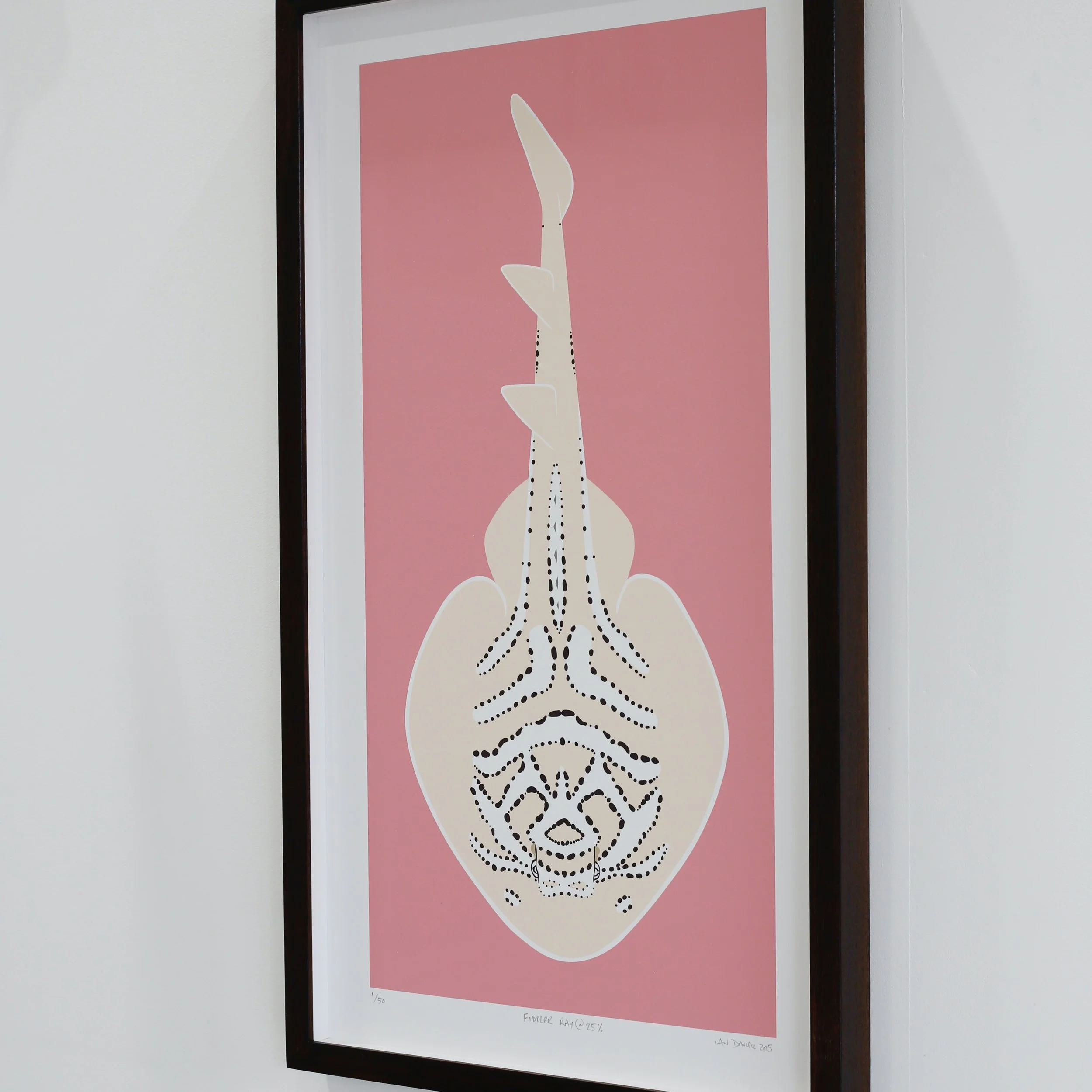 Ian Daniell Fiddler Ray Print_92A6633 2.JPG