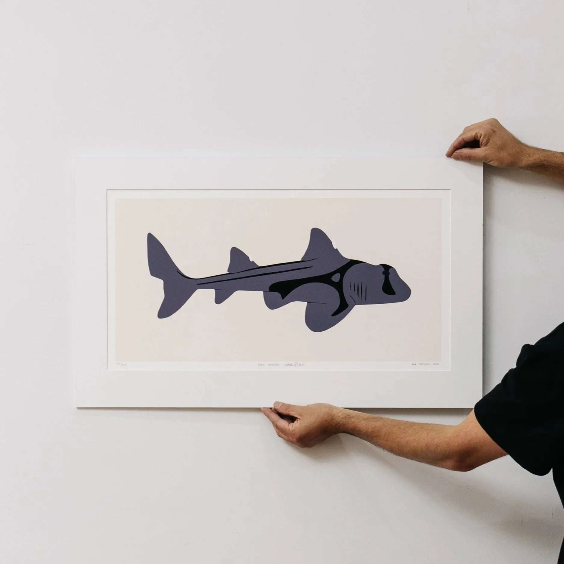 Port Jackson Shark @ 30% Print