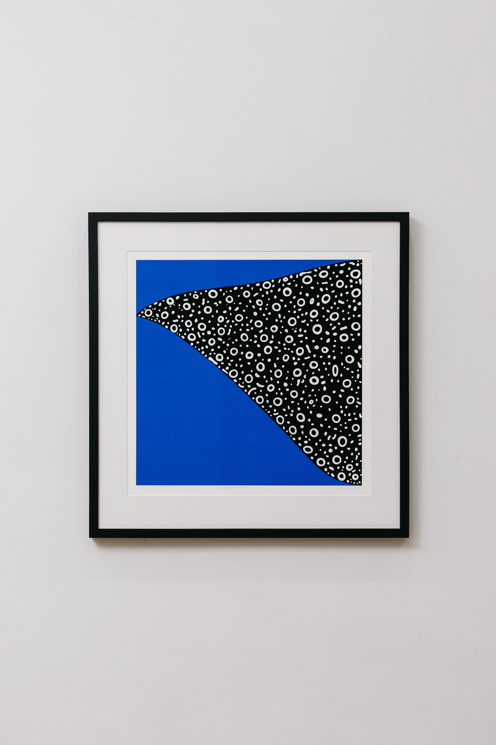 Ocellated Eagle Ray @ 17% Print
