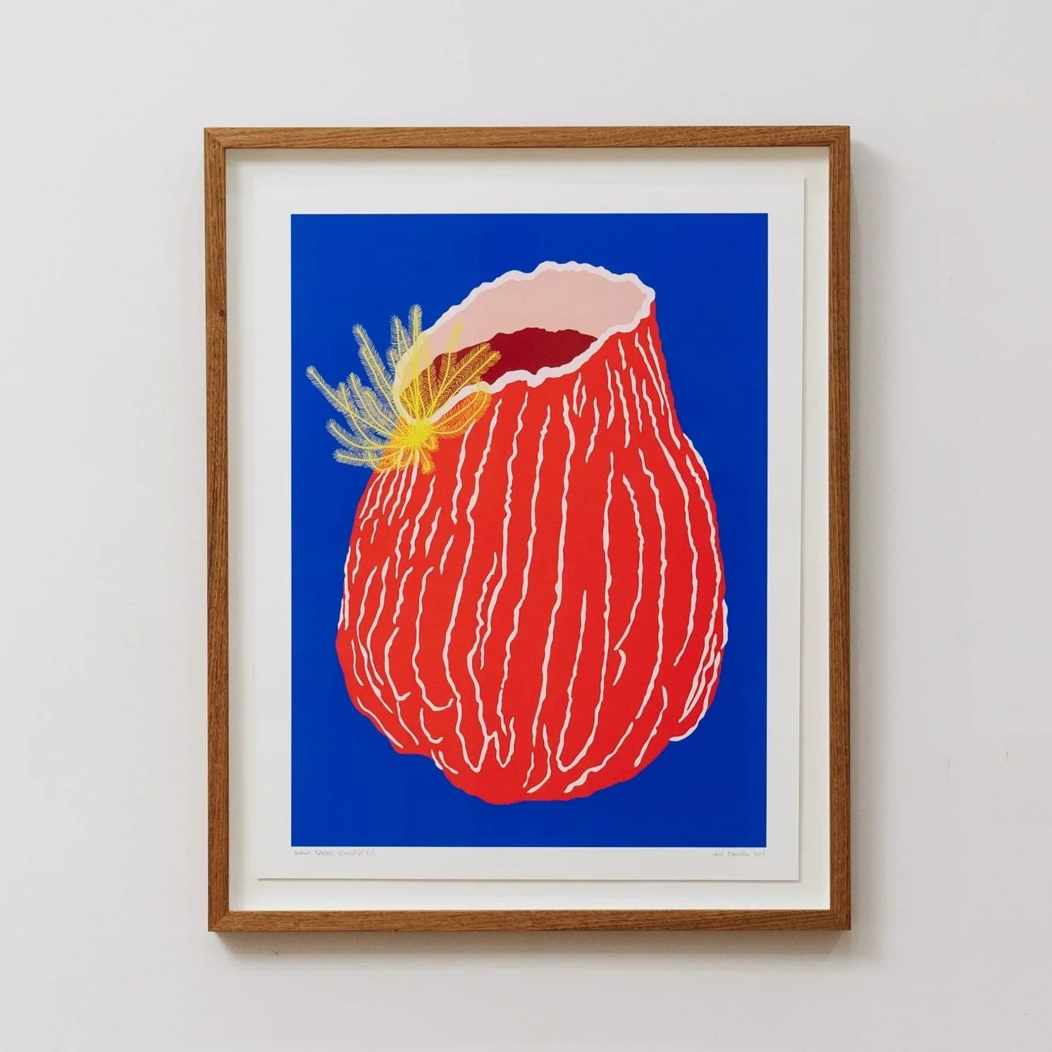 Giant Barrel Sponge @ 9% Print