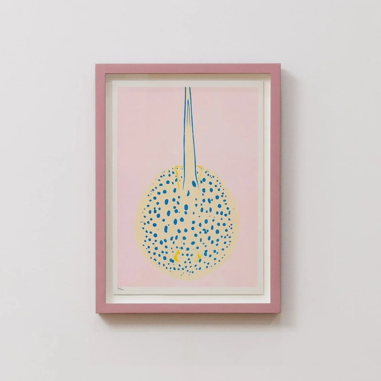 Framed Edition #80