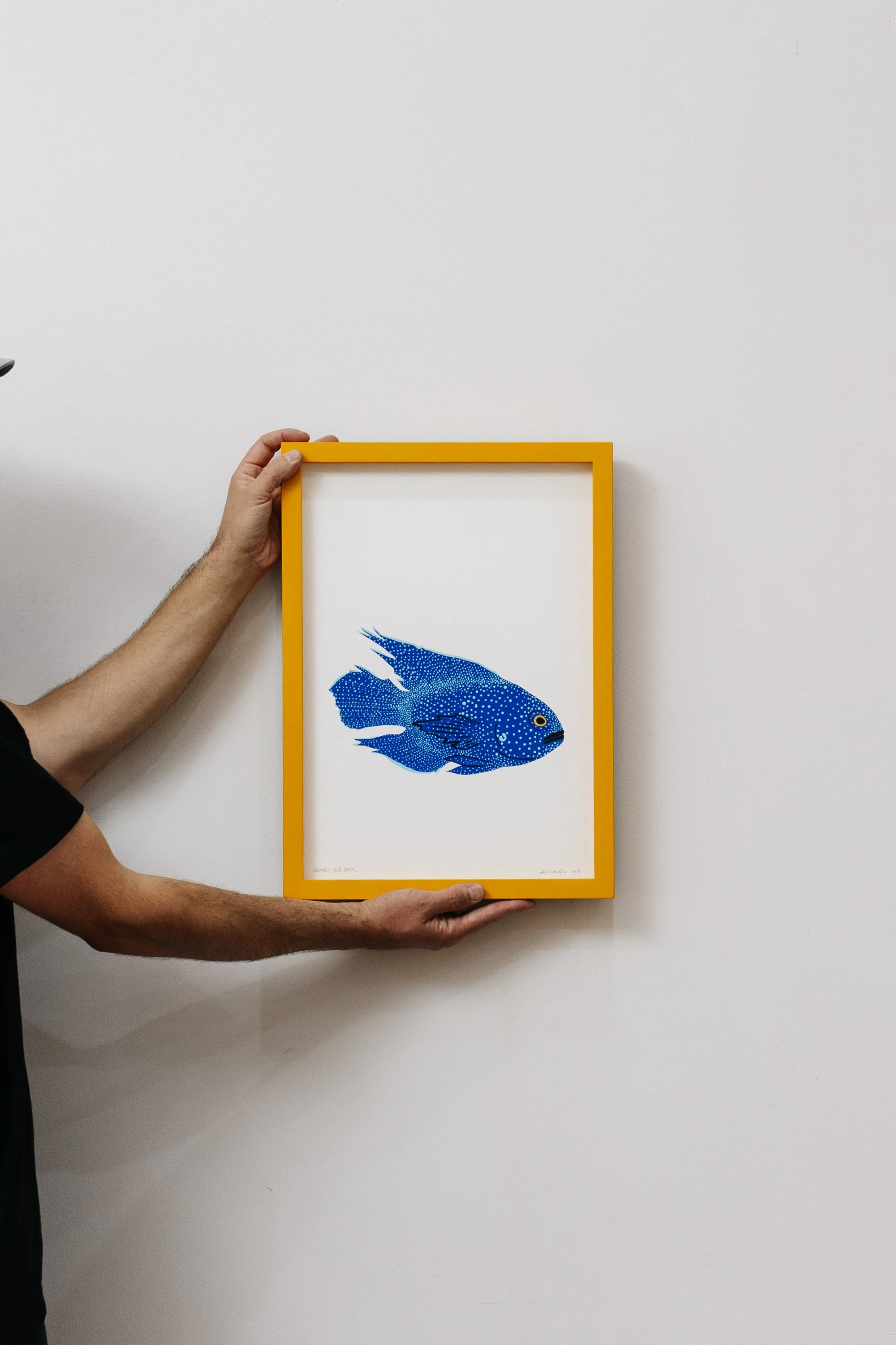 Framed Edition