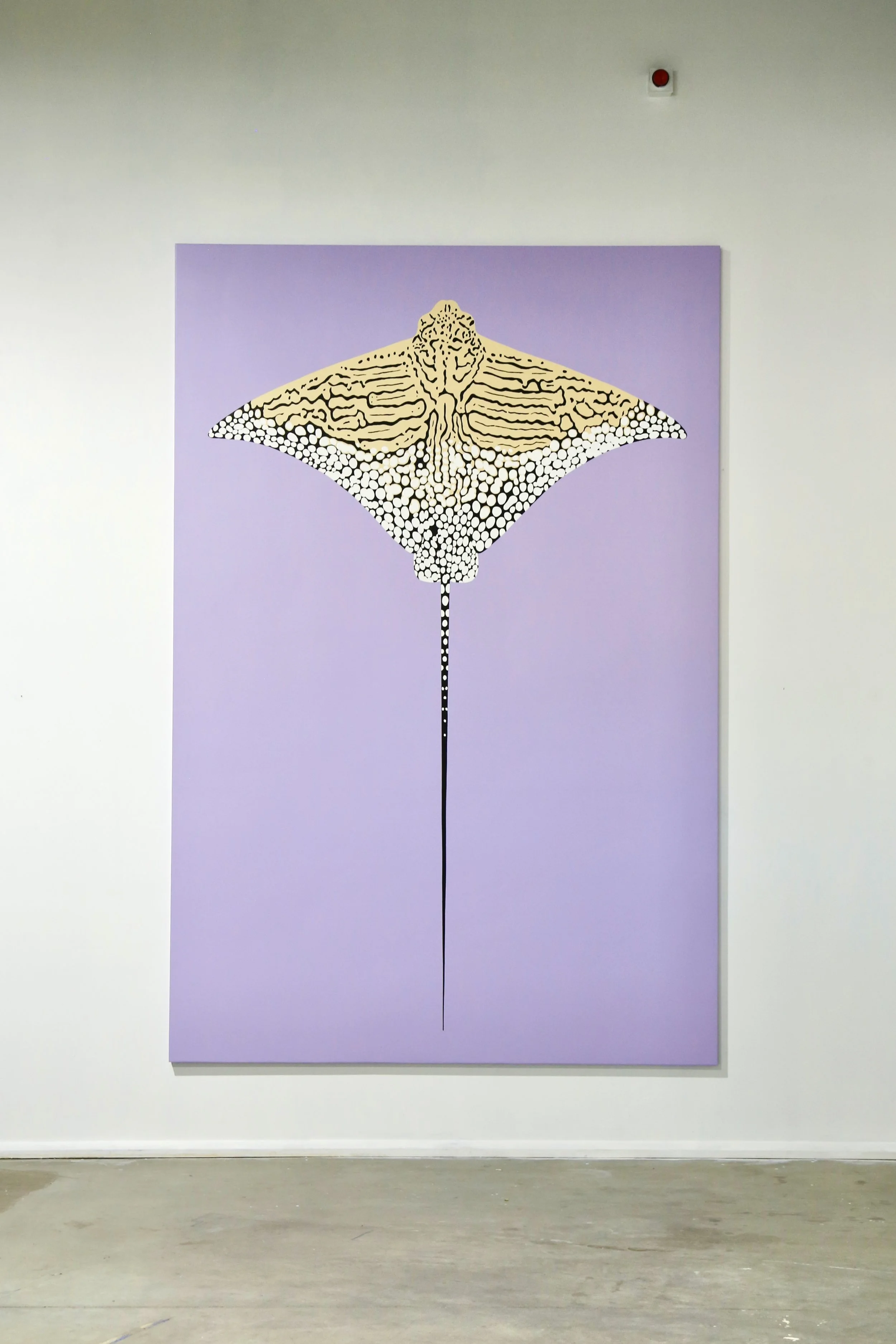 Ian Daniell Ornate Eagle Ray 2025.JPG