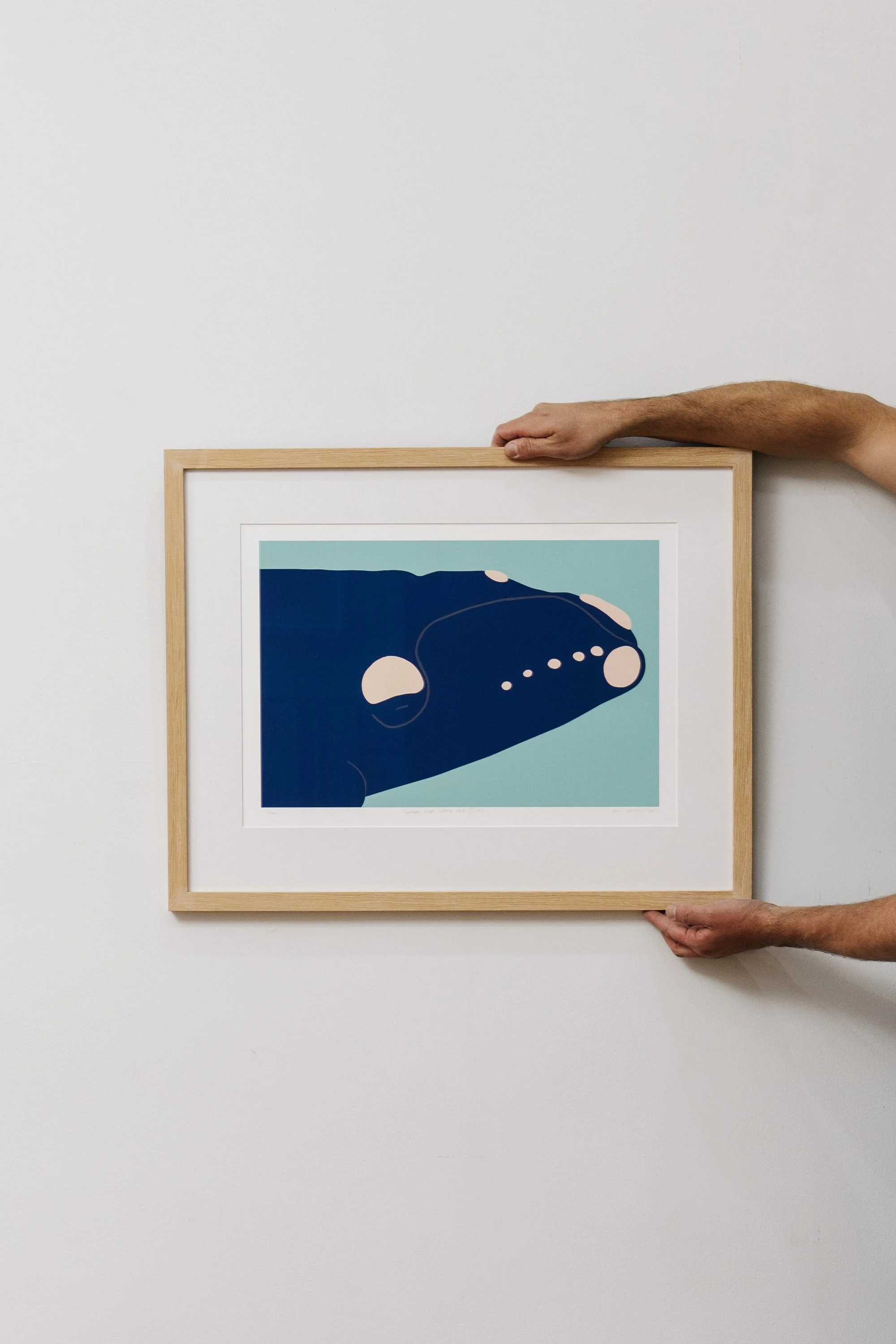 Southern Right Whale Calf @ 1.5% Print