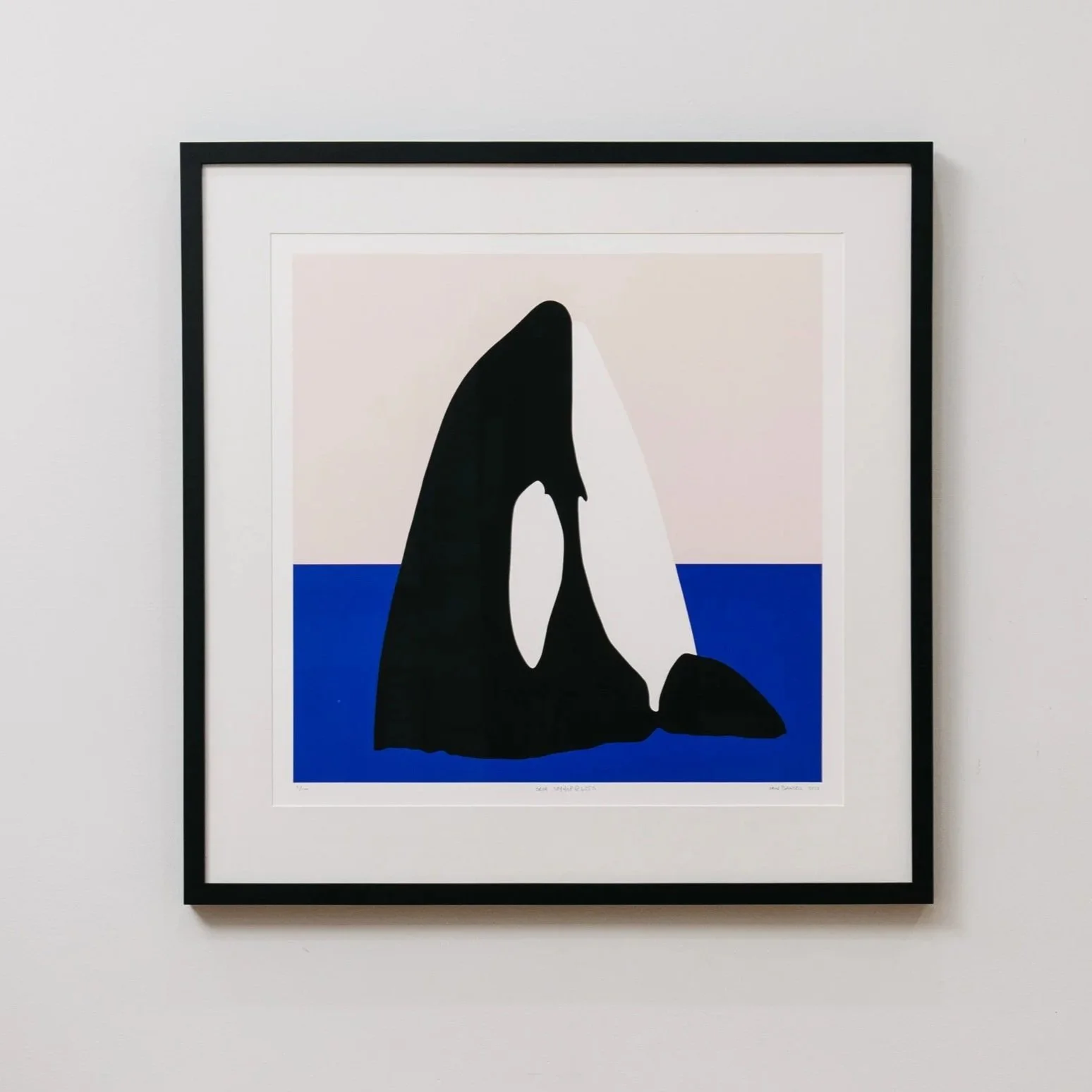 Orca Spyhop @ 6.25% Print