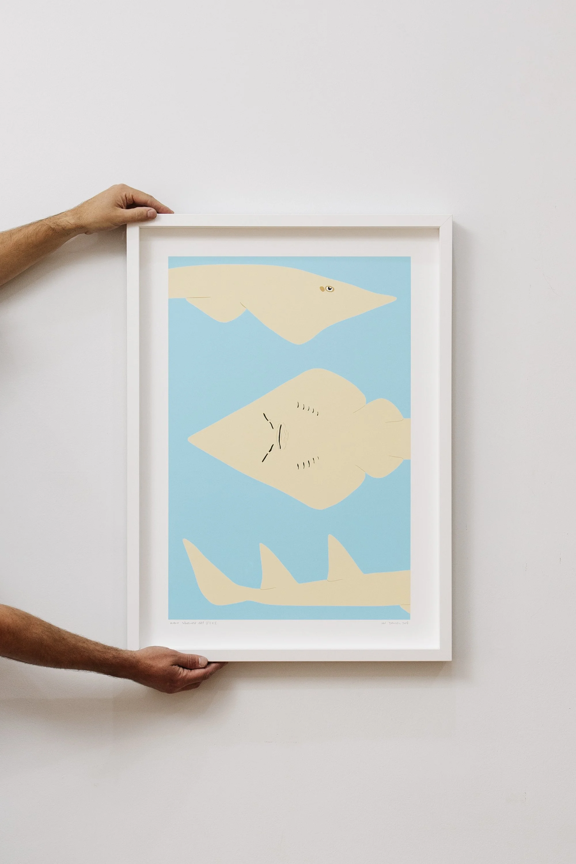Critically Endangered Giant Shovelnose Ray @ 7.11% Print