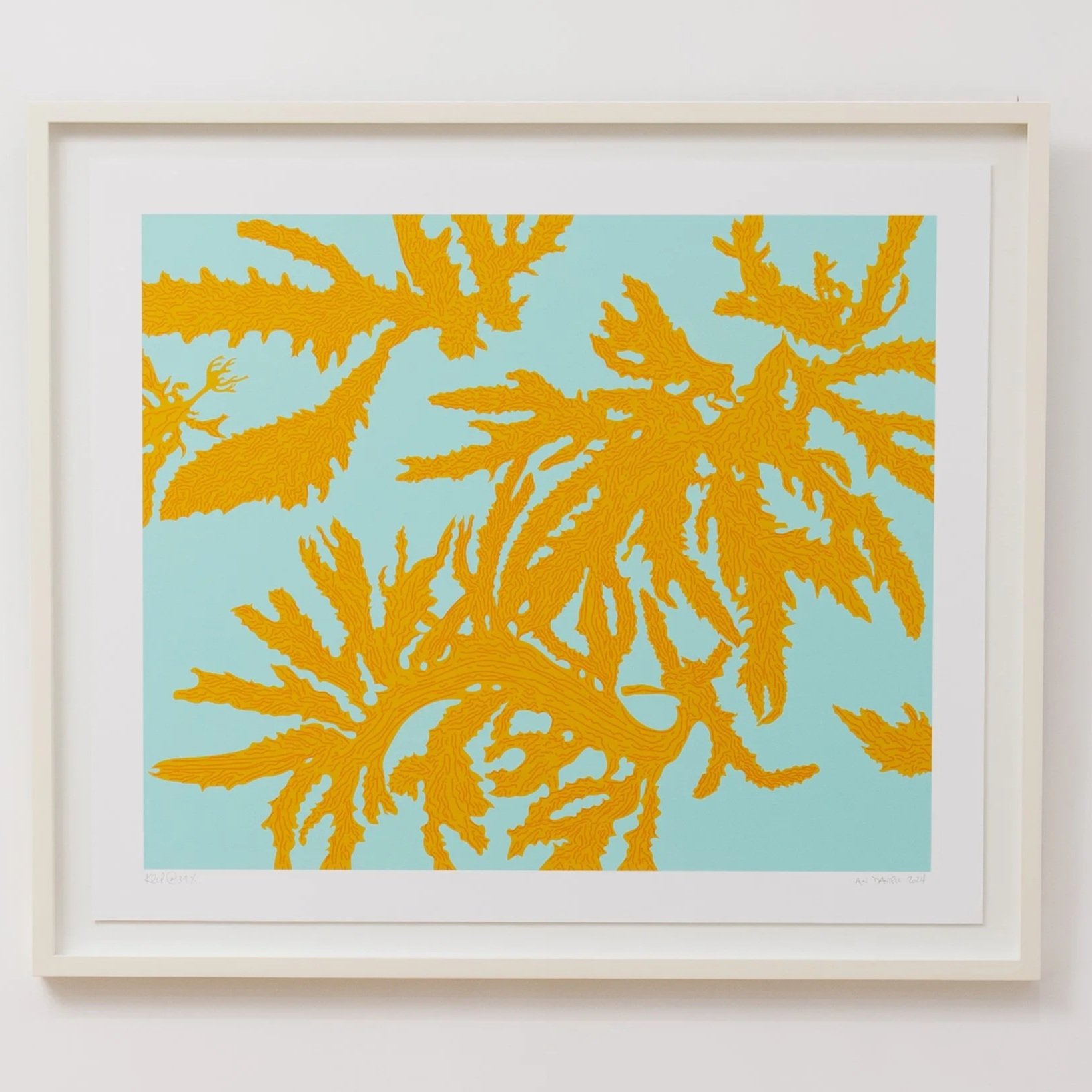Kelp @ 39% Print