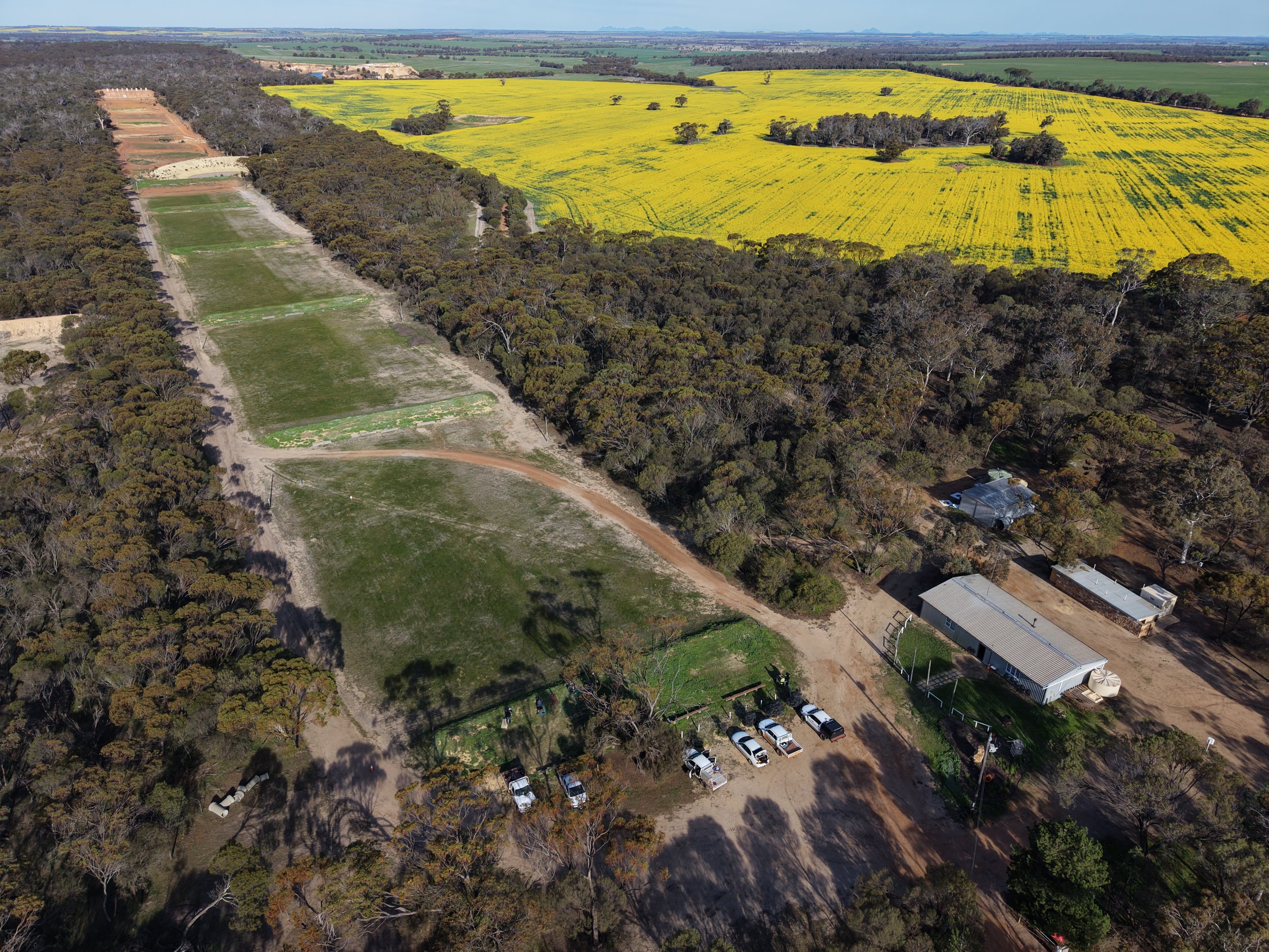 DJI_20260725145635_0025_D.JPG