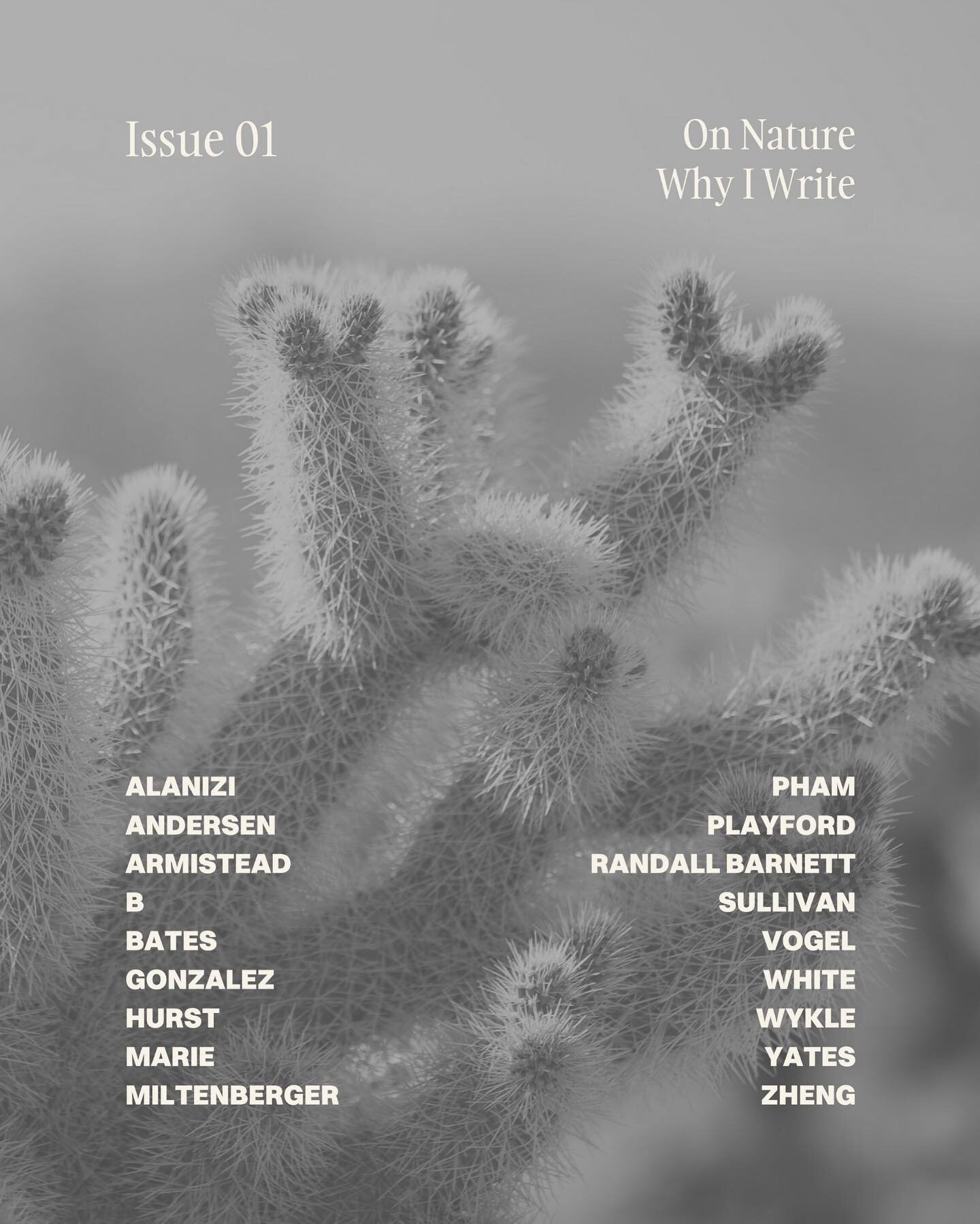 ✨ TODAY IS THE DAY! ✨ SOLSTICE MAGAZINE LAUNCH DAY!

Incredibly proud to debut our first issue. Link in story to snag your copy! (Or just head to our website)

📖 Both digital &amp; paperback formats available.

💥 Congrats to our 18 inaugural contri
