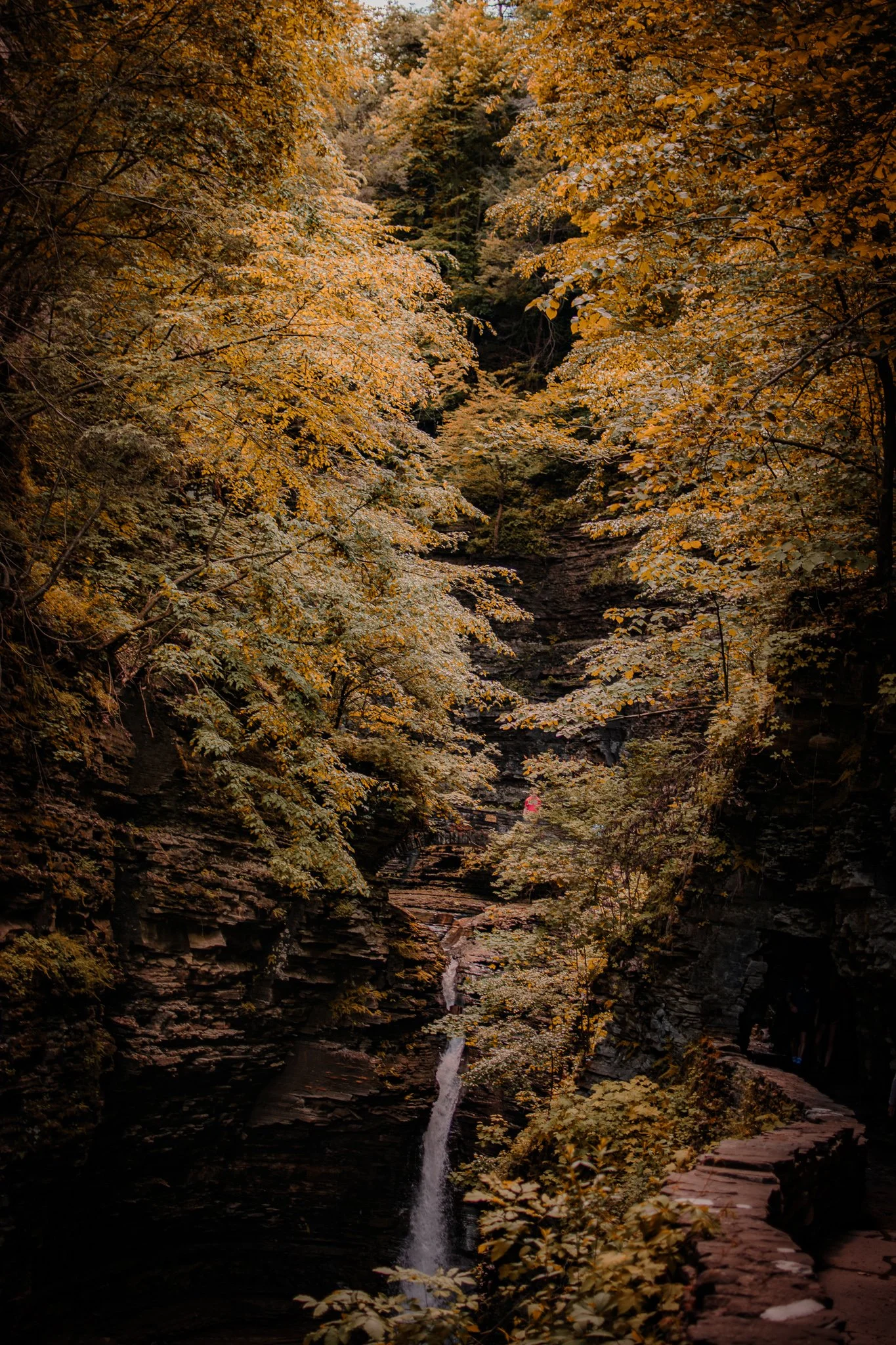 DSC_8000.jpg