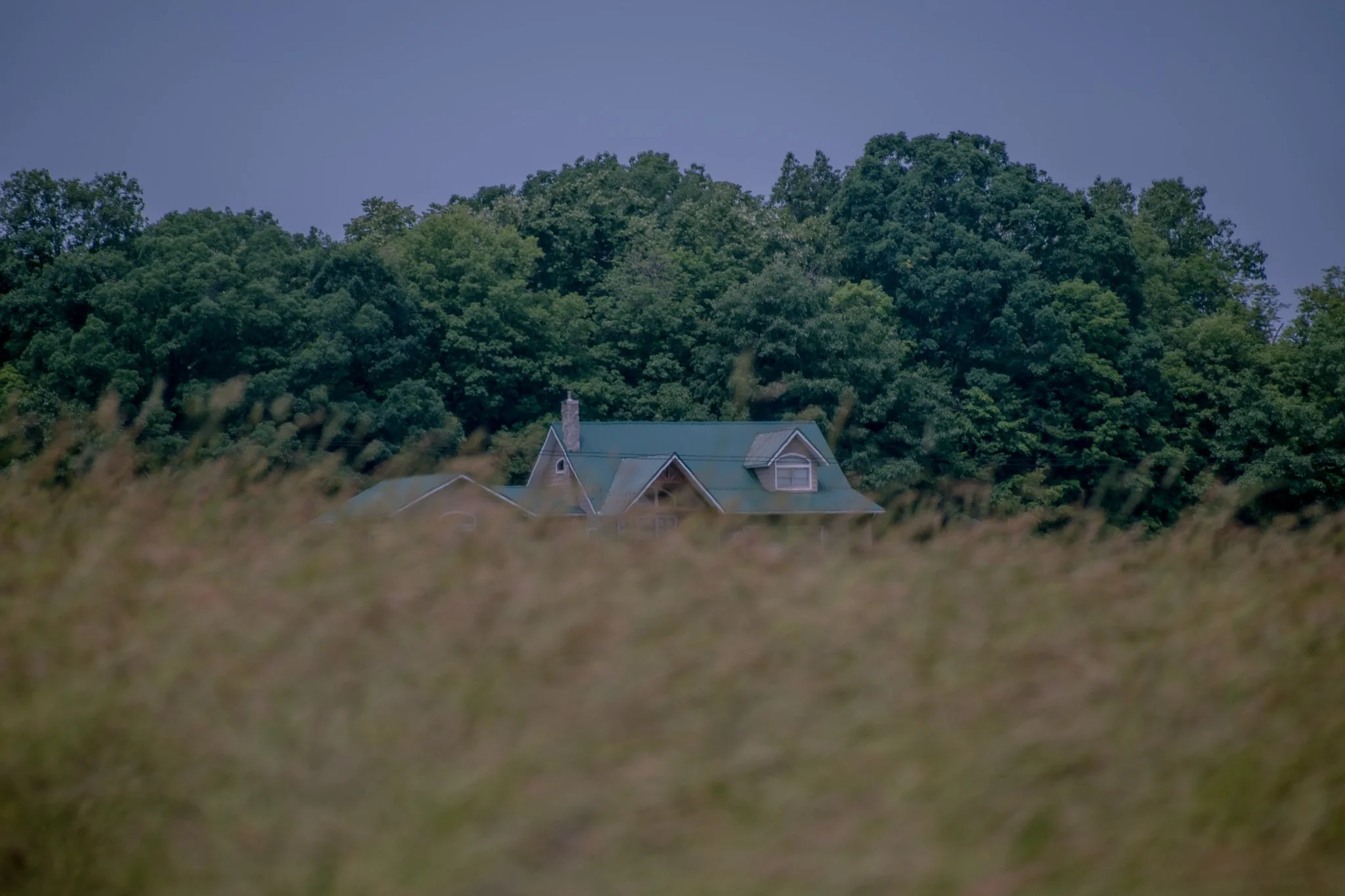 DSC_7874.jpg