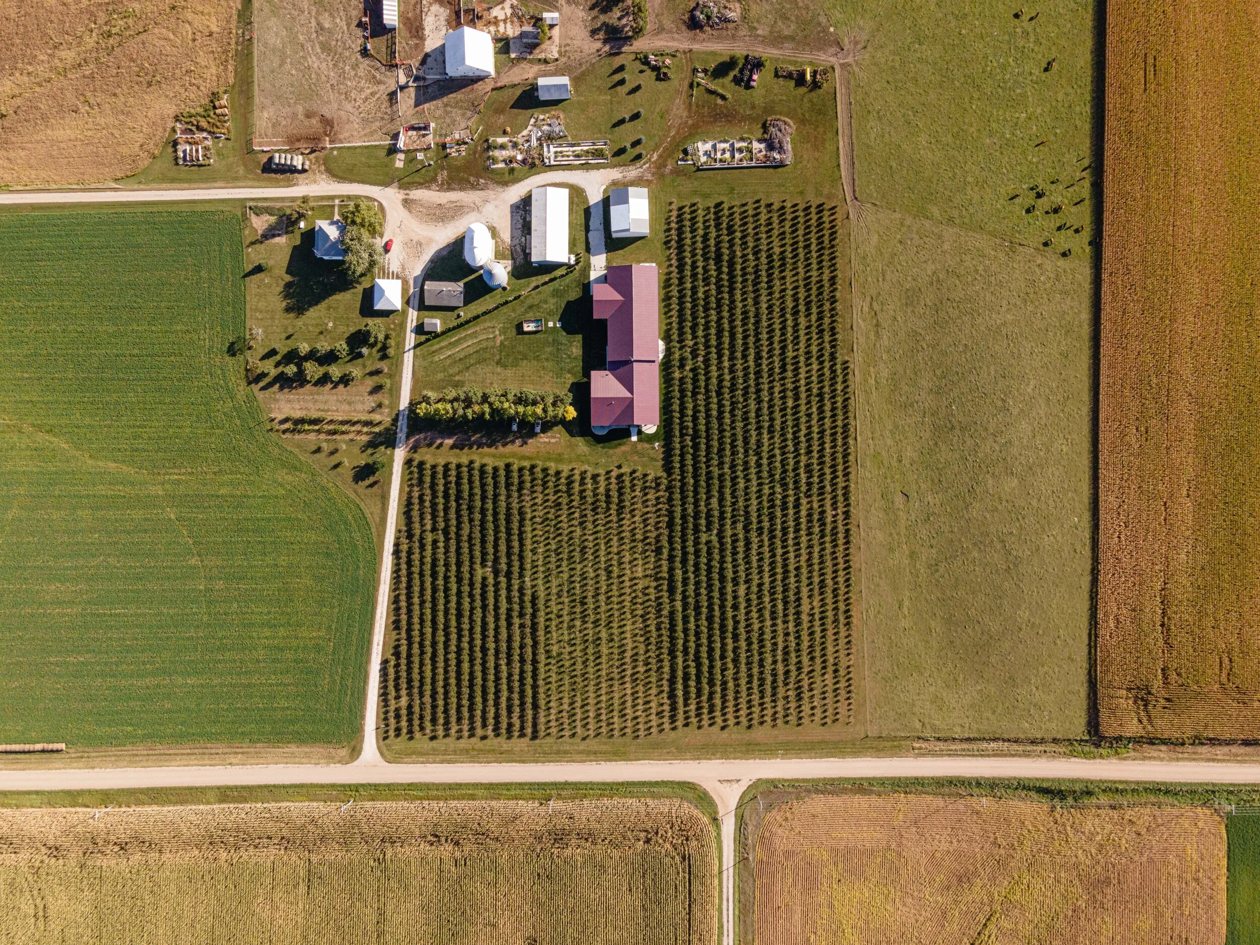 DJI_0473-min.jpg