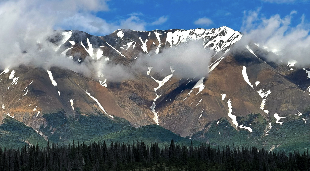 What to expect as a first time visitor to Denali National Park