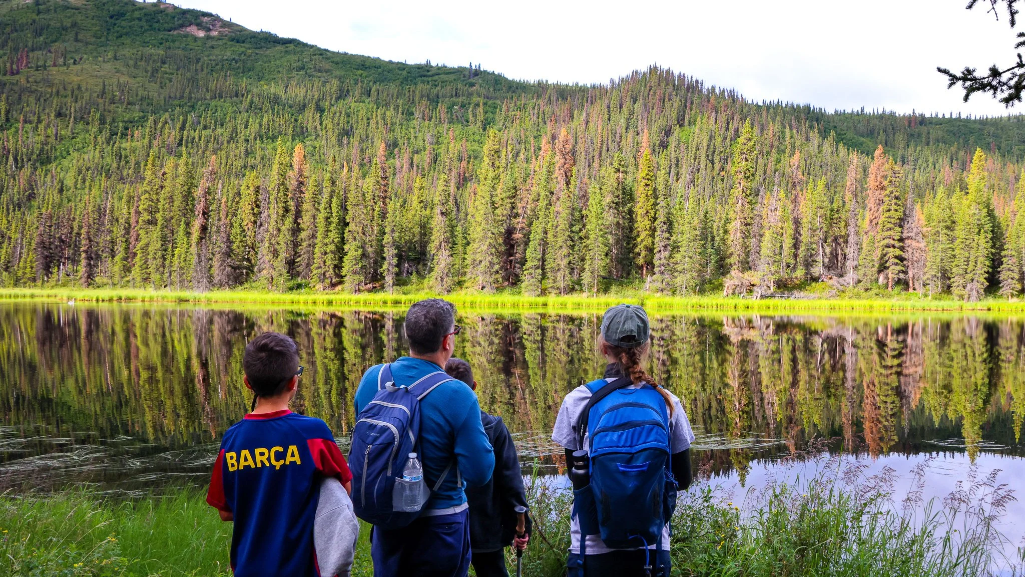 Unleash your Inner Explorer with New Wave Adventures Guided Hiking in Denali National Park, Alaska