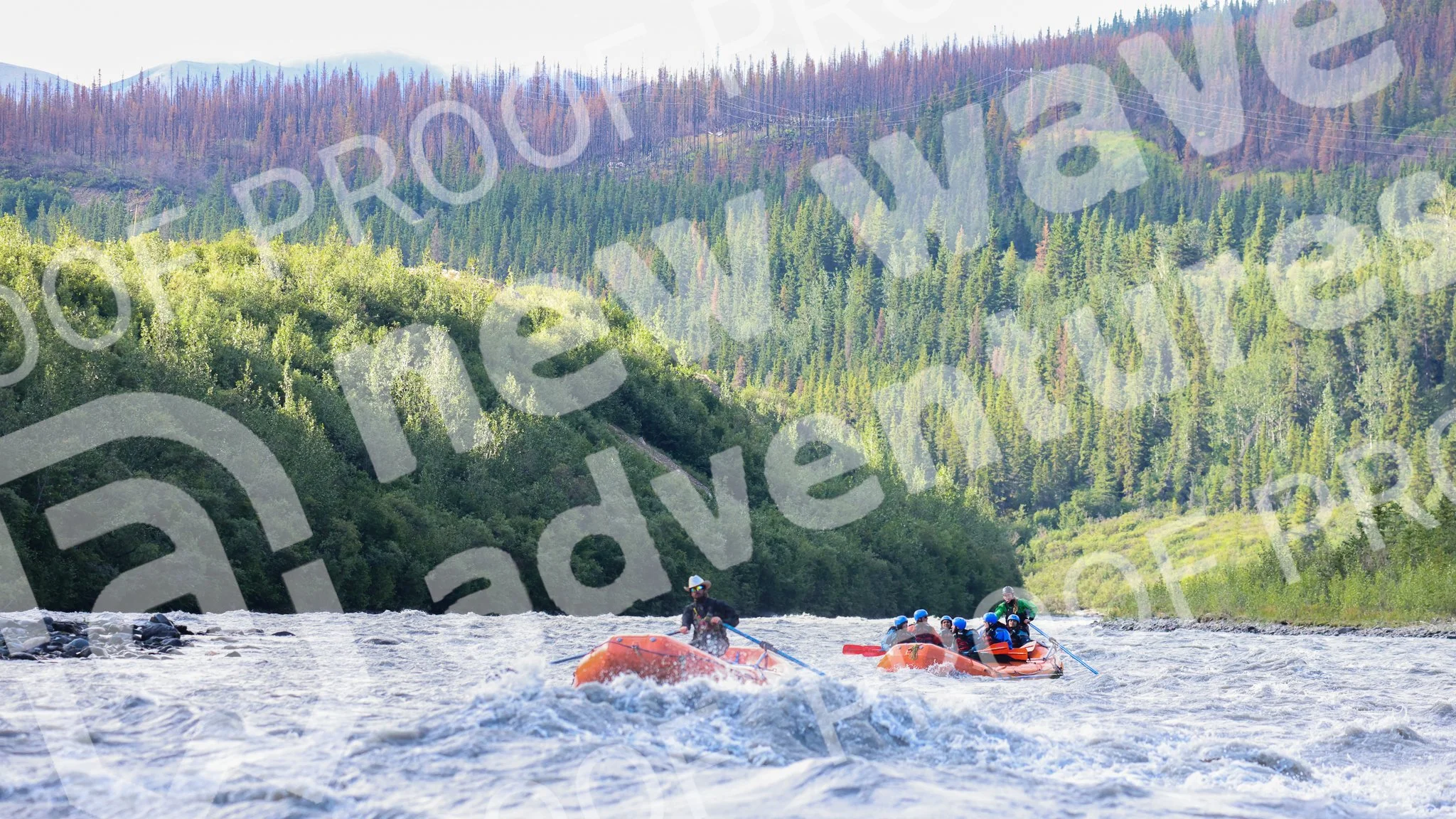 Amber 8_2 8AM Canyon-18.jpg