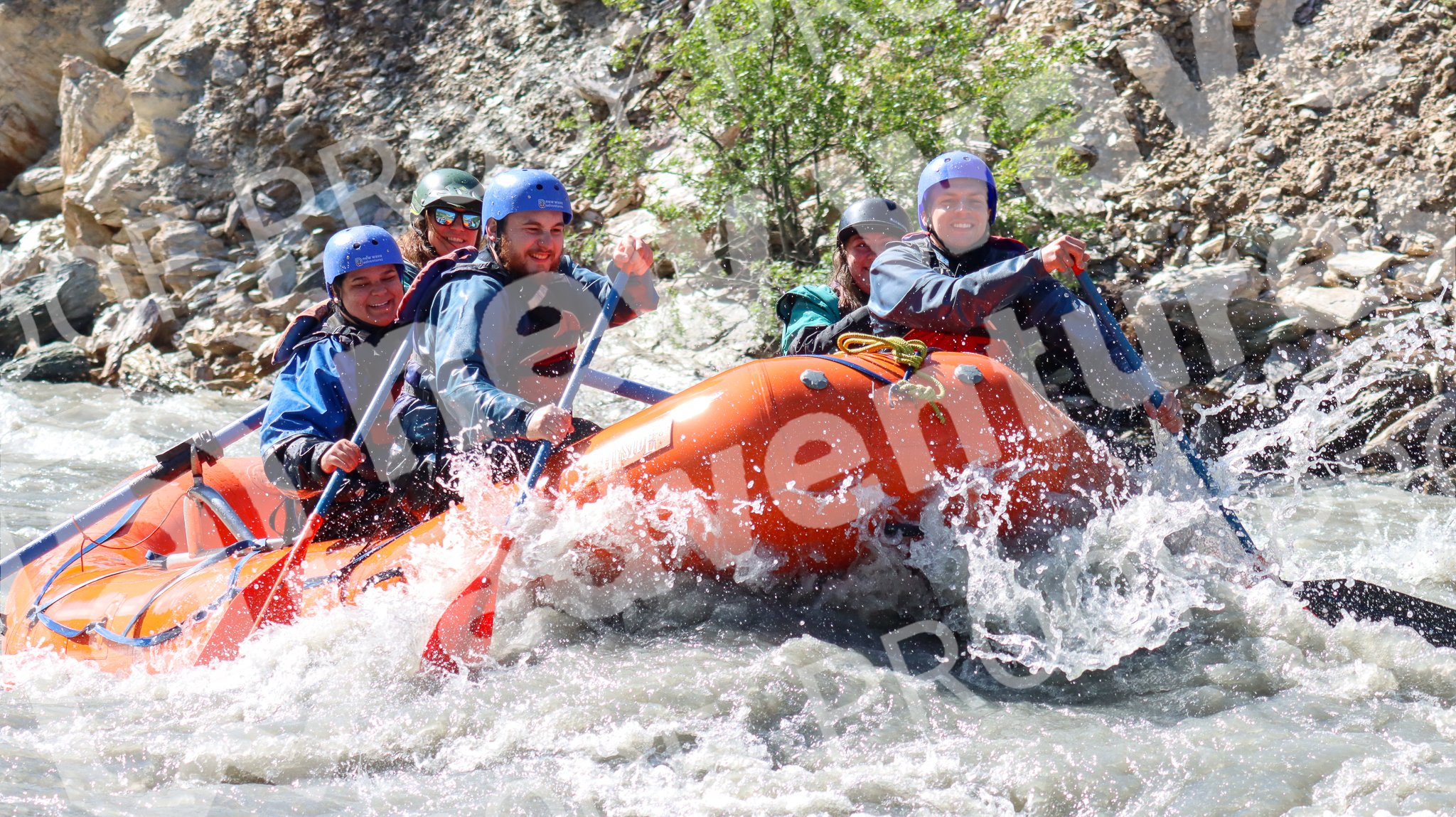 Ally 7_1 10AM Canyon-03.jpg