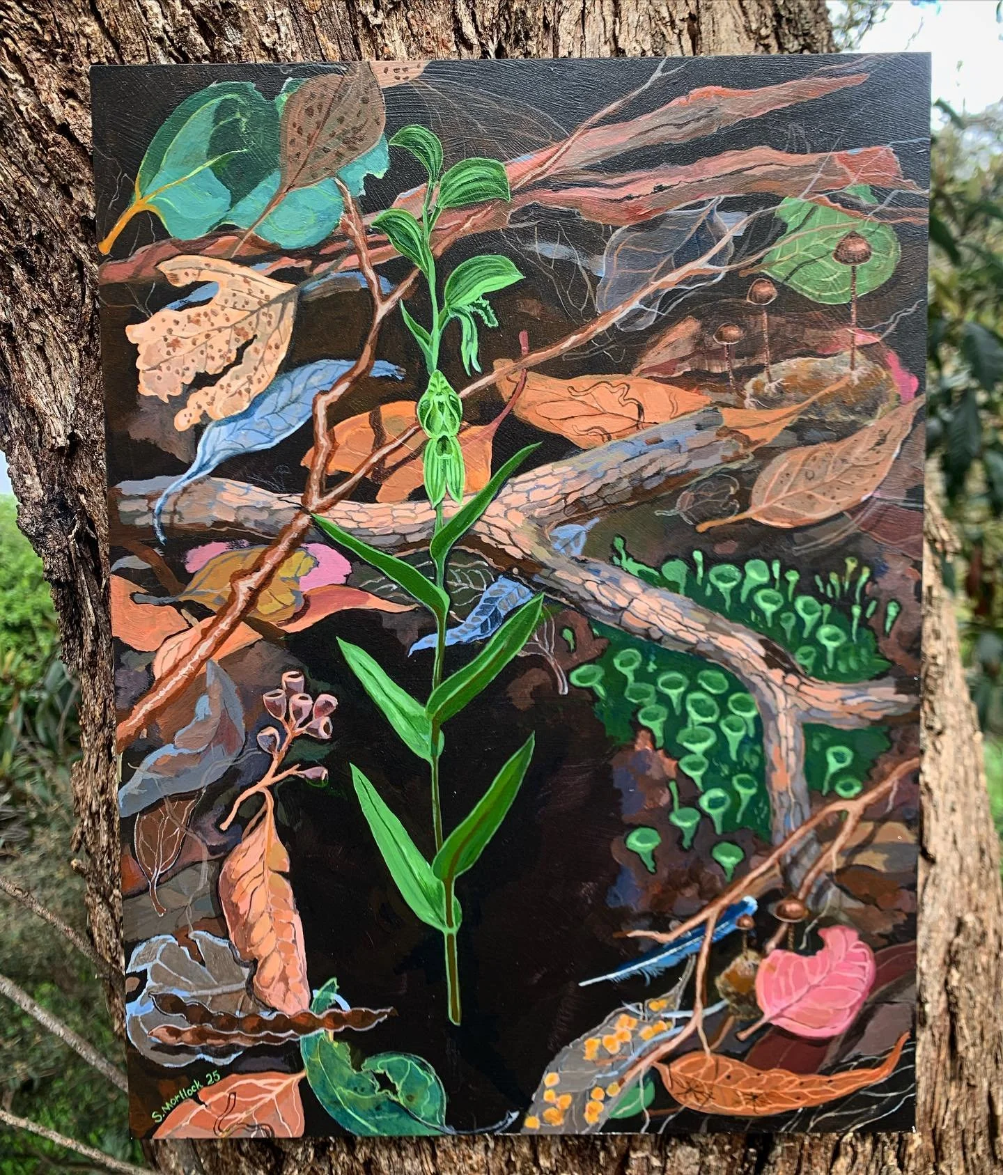 Pterostylis smaragdyna - the Emerald lip greenhood, acrylic on board. 

I painted this for an art show put on by my work! I&rsquo;ve been fortunate to do some conservation work with this rare and elegant orchid recently. We remove weedy grasses and c