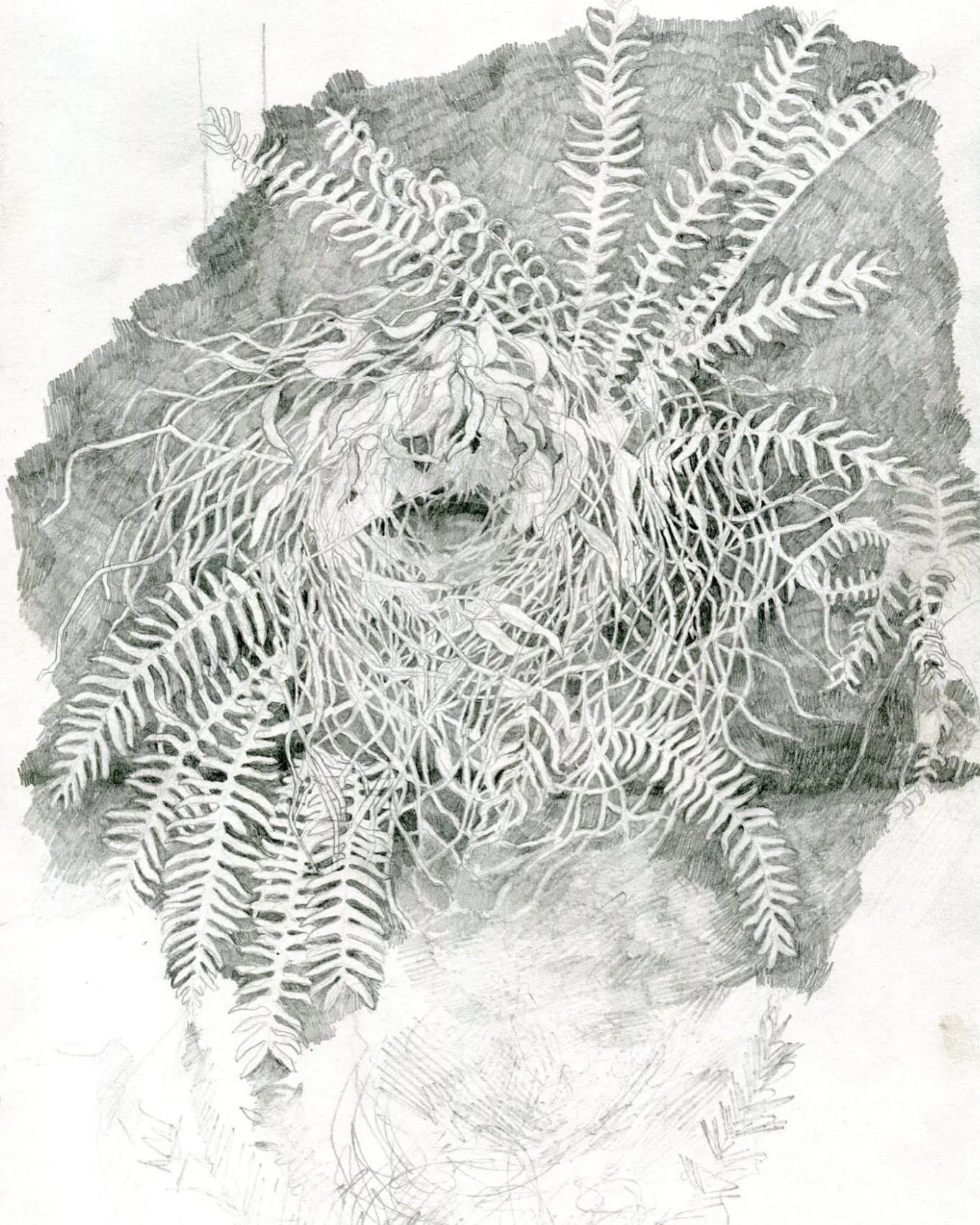 recent things from my sketchbook. Trying to draw whenever I can