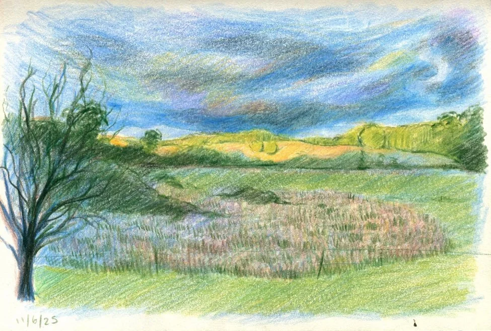 more from my sketchbook