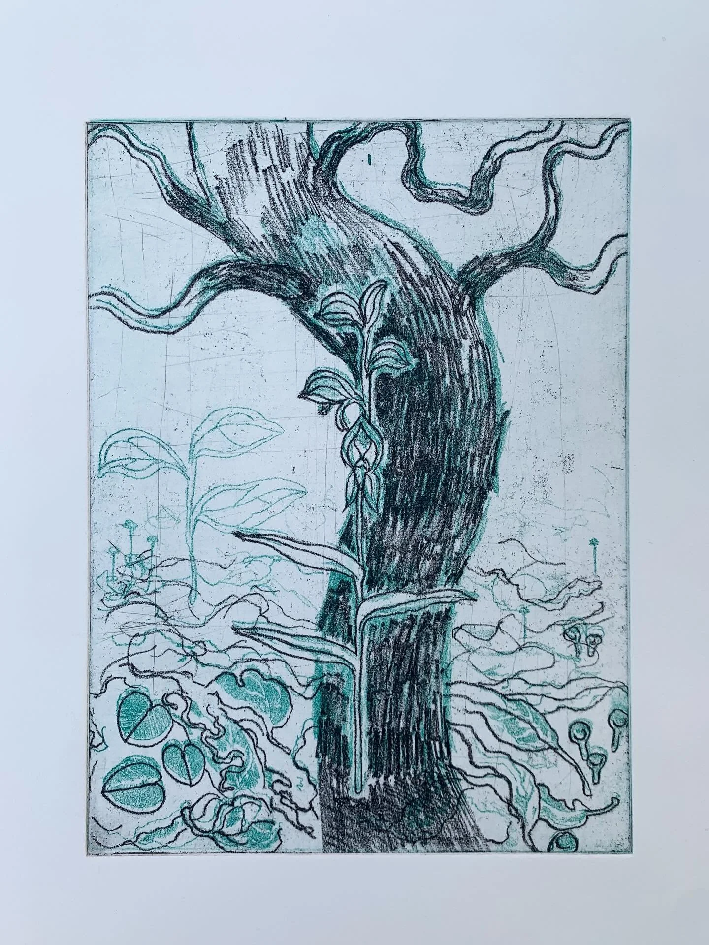 My prints and some progress shots from the soft ground multi-plate etching workshop I took part in at @baldessinstudio under the brilliant guidance of Chris Ingham. 

I really fell in love with the softness you can achieve with this printing medium a