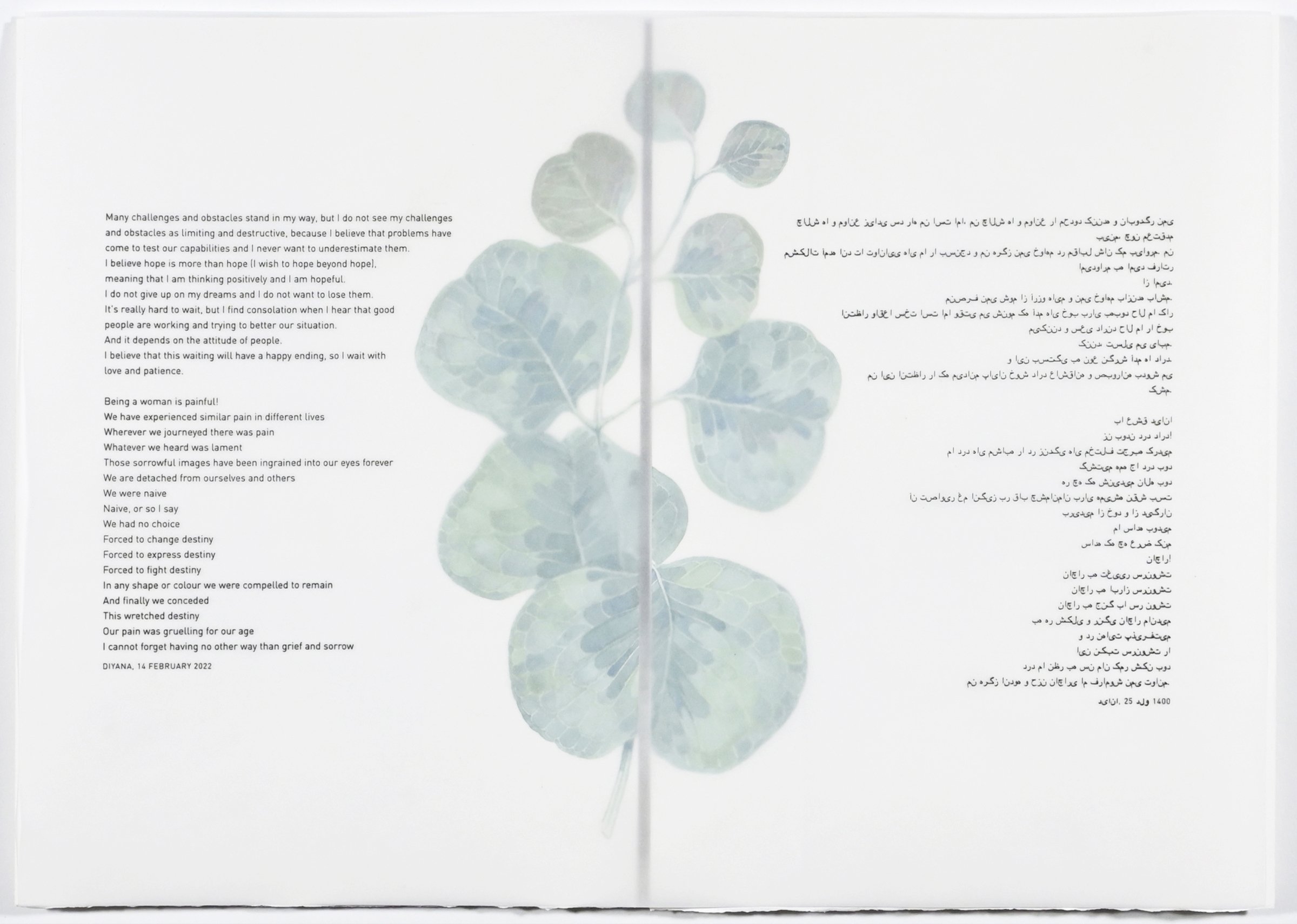 In any shape or colour, 2023-2024, graphite and watercolour on paper.