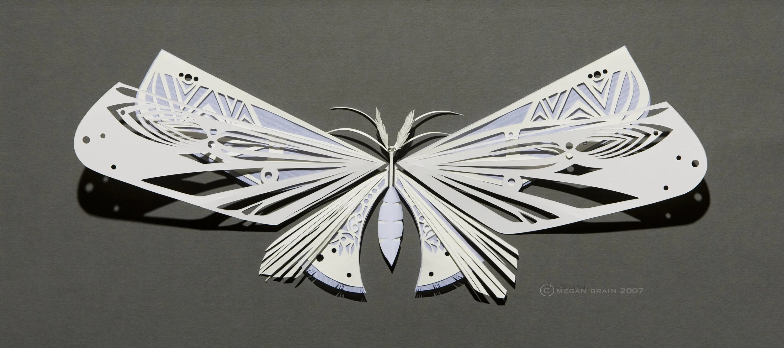 Megan Brain (Web Development)