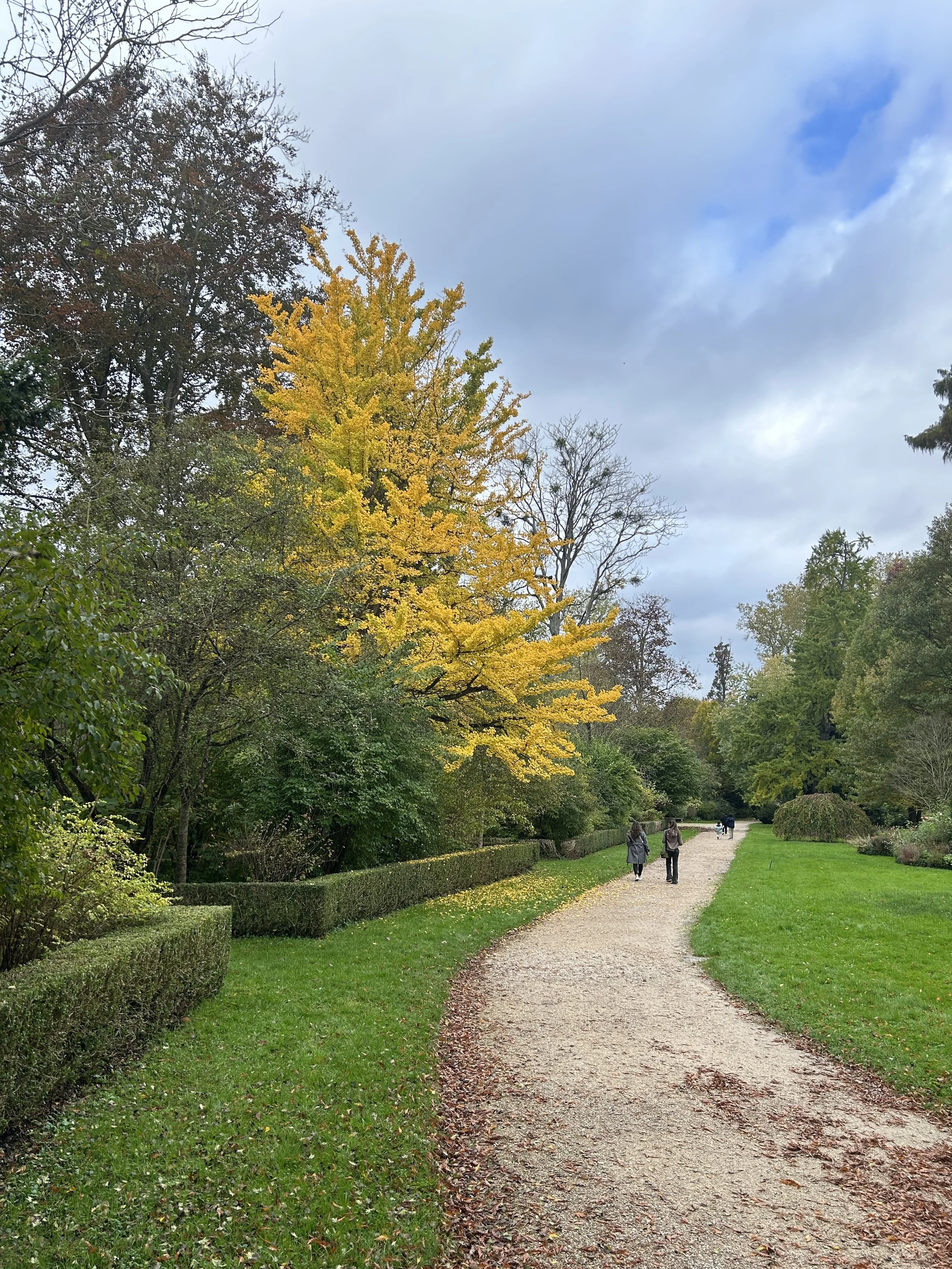 inspiration for my largest piece "Autumn in Versailles"