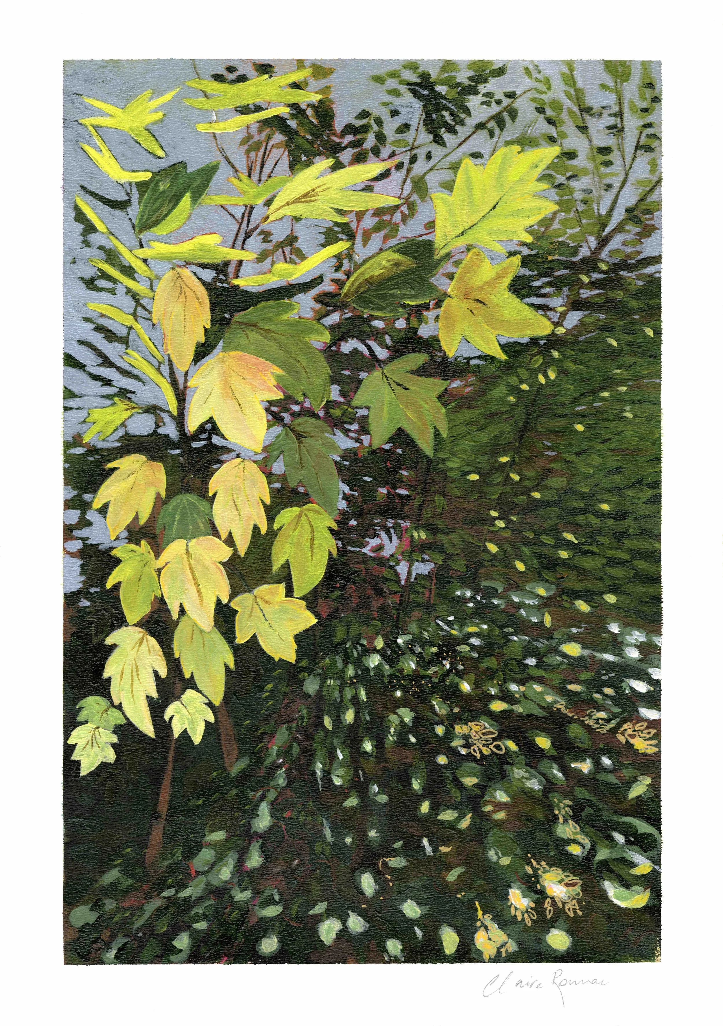 Deep in the forest
Acrylic on paper
Limited edition print
Available in A4 or A3 size printed onto high quality cotton rag paper
Comes in a tube ready for shipping or framing
A4 - A$125 includes shipping in Australia
A3 - A$145 includes shipping in Au