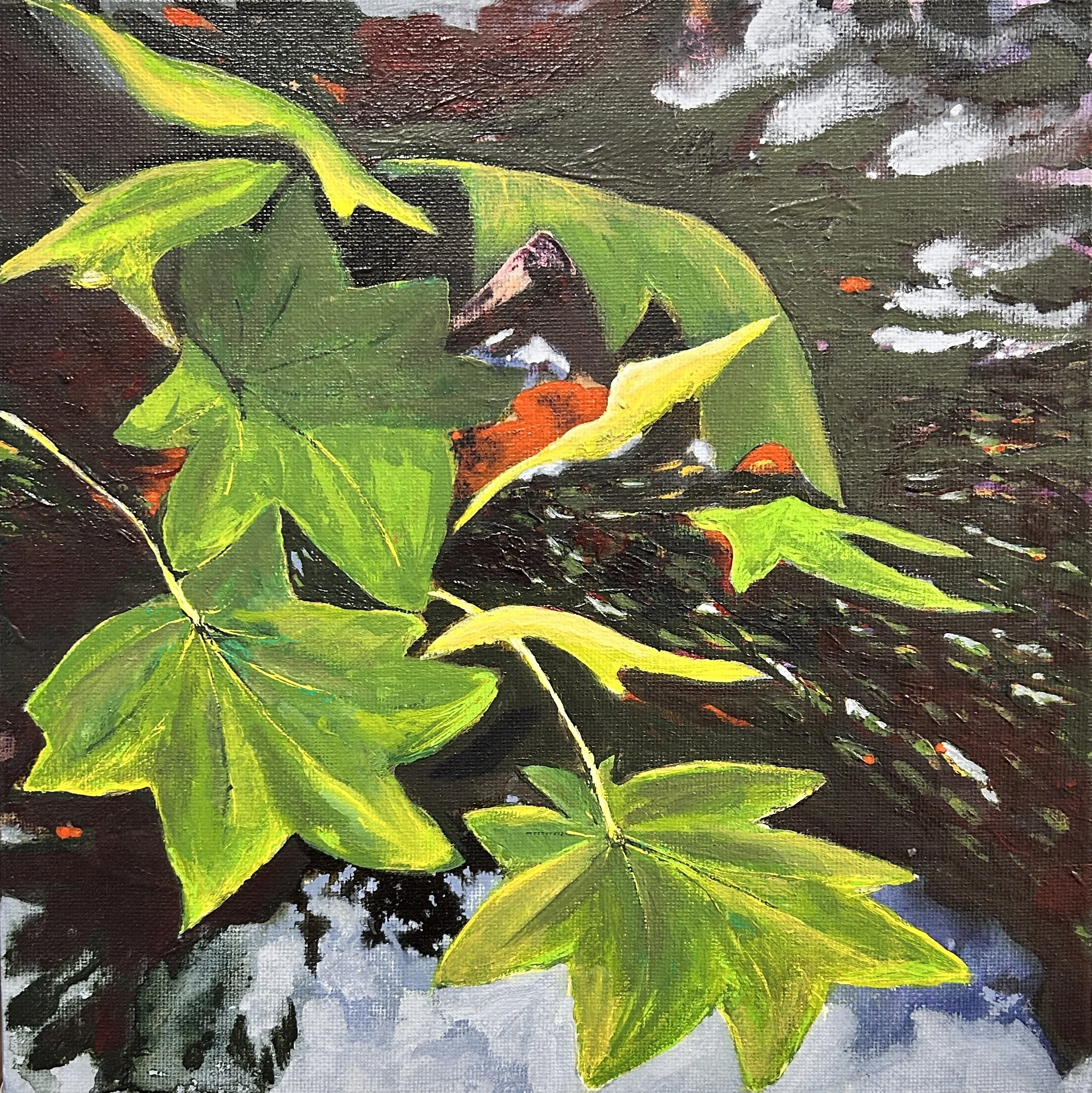 French Oak.
Acrylic on canvas
28cm x 28cm framed in Tasmanian hardwood with beeswax polish
A$250. Contact Untether gallery