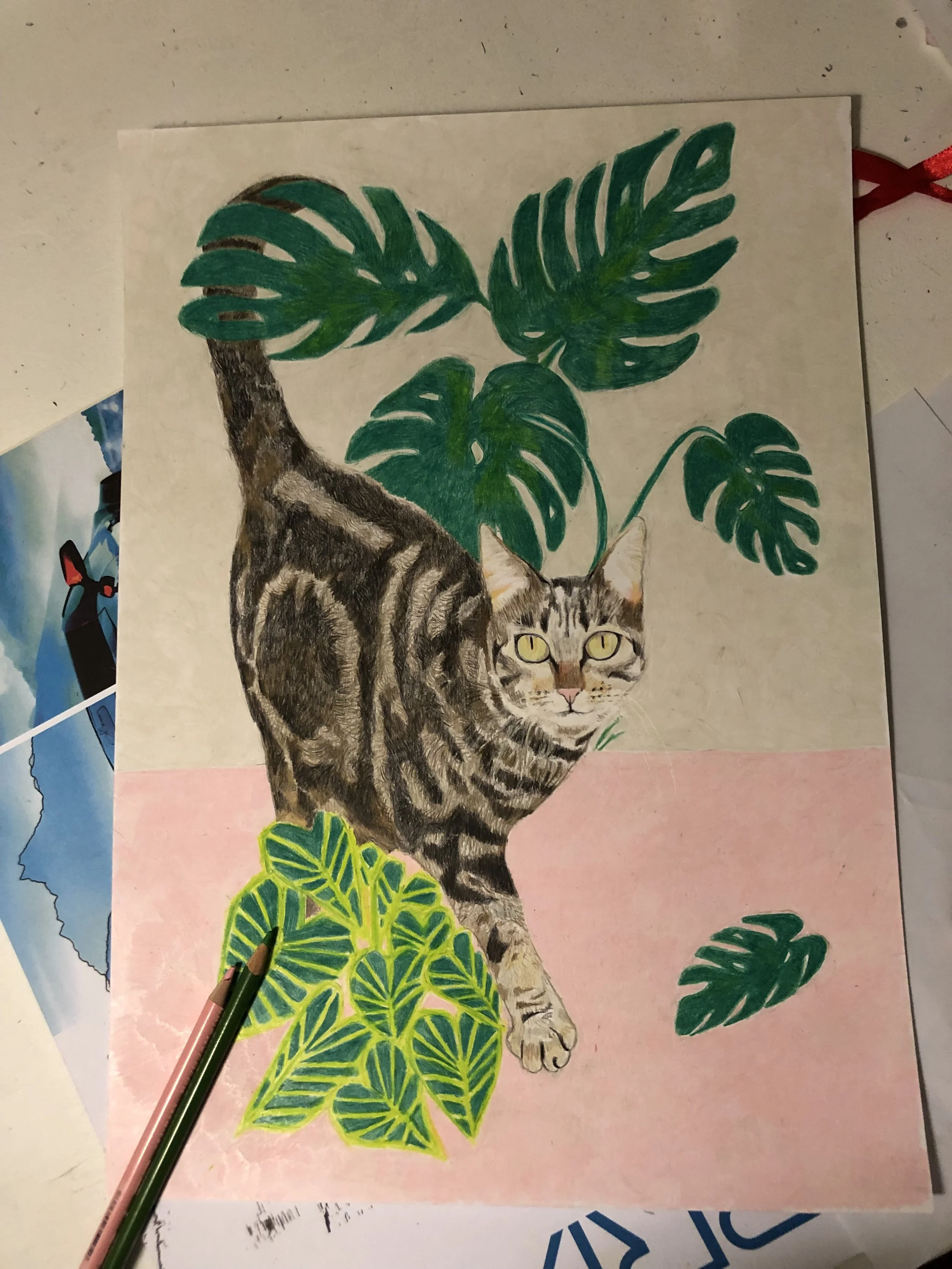 Cat illustration