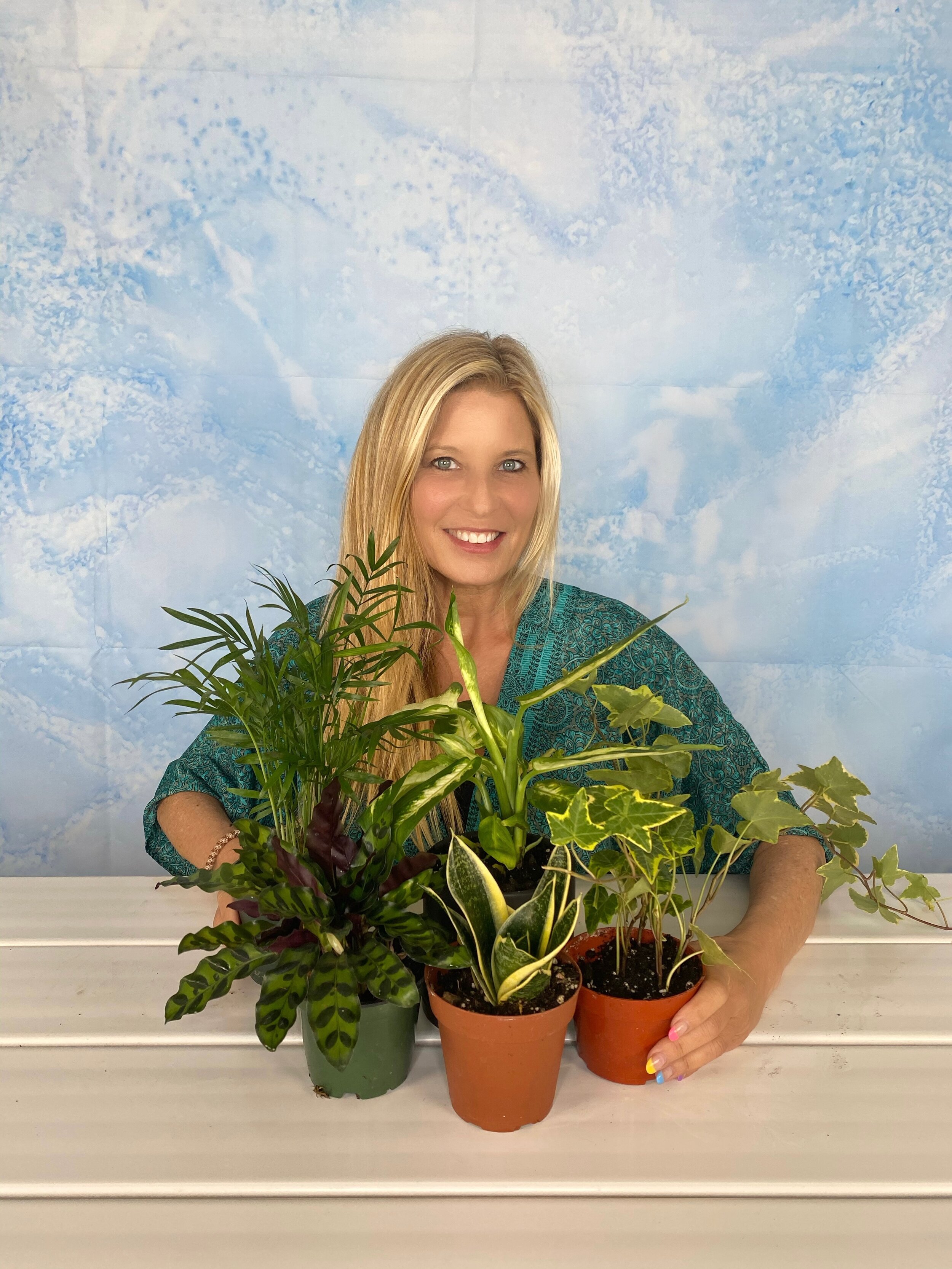 Plants to Help Purify the Air in your Home 