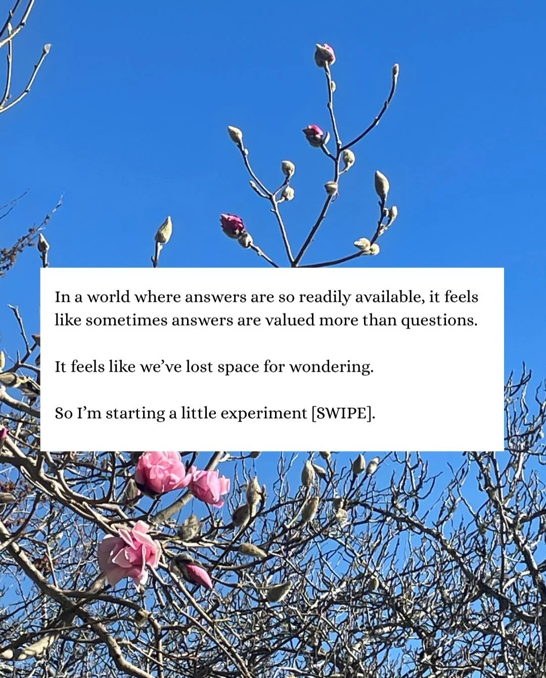 I&rsquo;m trying a little experiment.

Google and now Ai have made it so easy to find out the answers to absolutely everything. But there&rsquo;s a part of my brain that I want to keep training - my ability to wonder. To ask silly questions. To hear 
