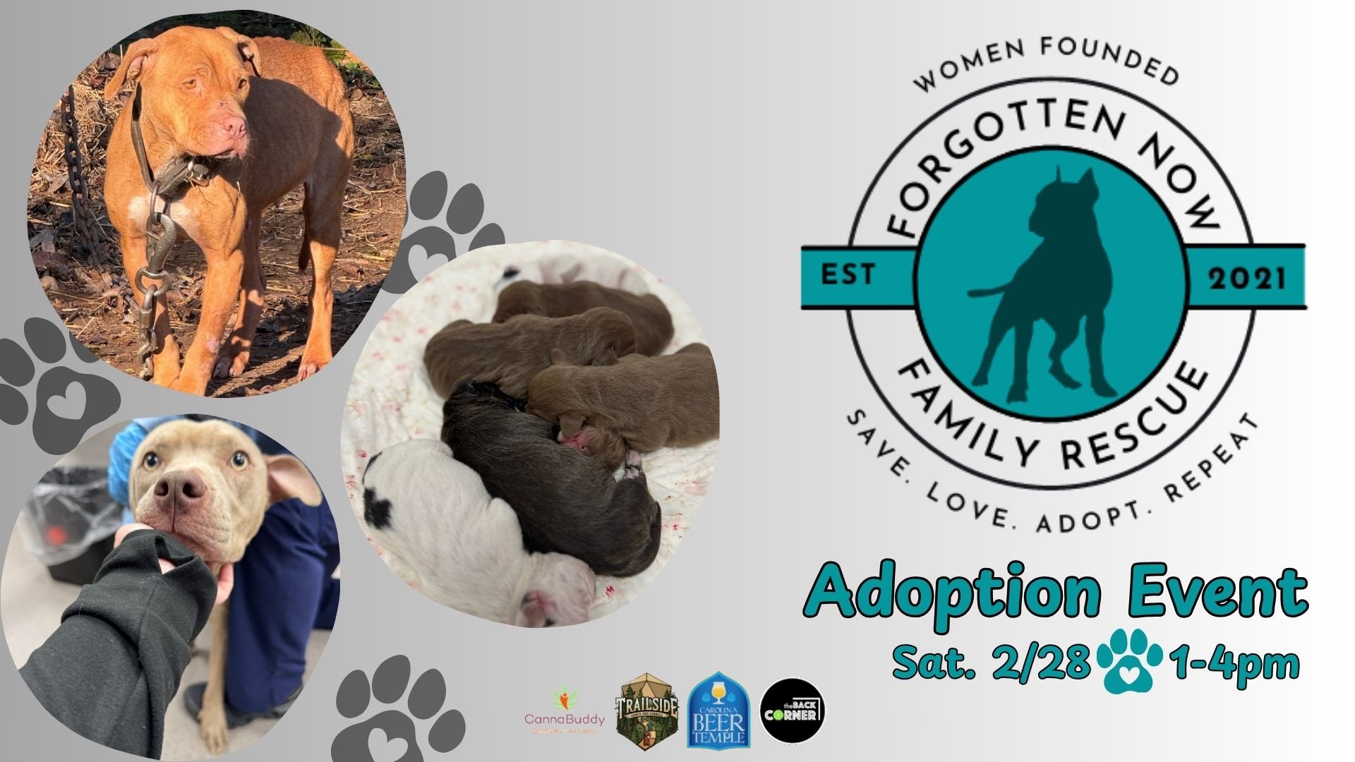 Dog Adoption Event with Forgotten, Now Family