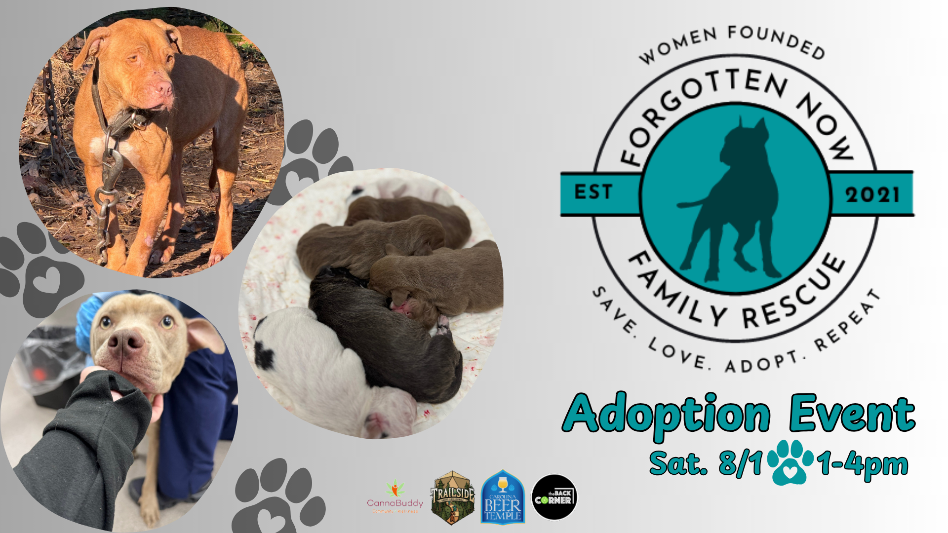 Forgotten Now Family Dog Adoption Event