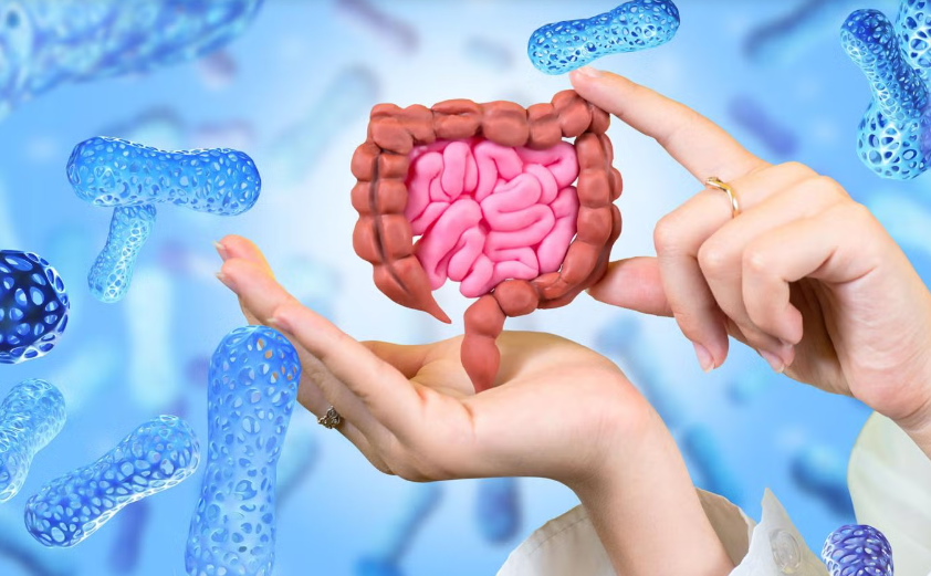Do Medications Change Your Gut Long-Term? New Research Says Yes