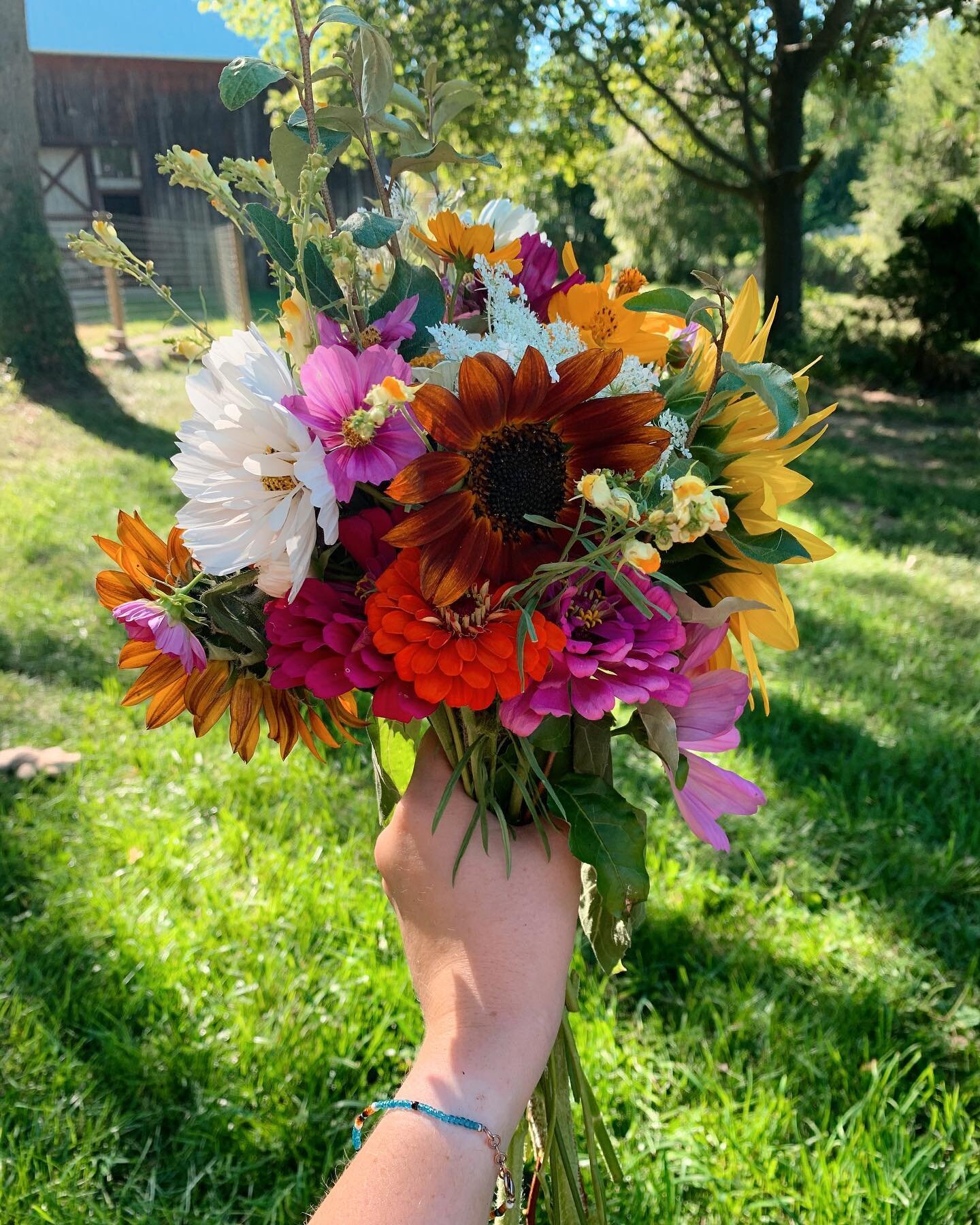 Sometimes the best bouquets are the ones that are haphazardly thrown together 🤷🏼&zwj;♀️ Do you like bouquets with all different colors, or do you stick to certain color palettes?
.
.
.
#flowerfarmer #sunflowers #sunflower #floralarranging #bouquet 