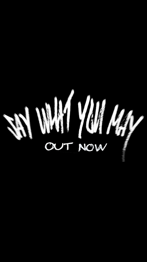 Promo - Say What You May