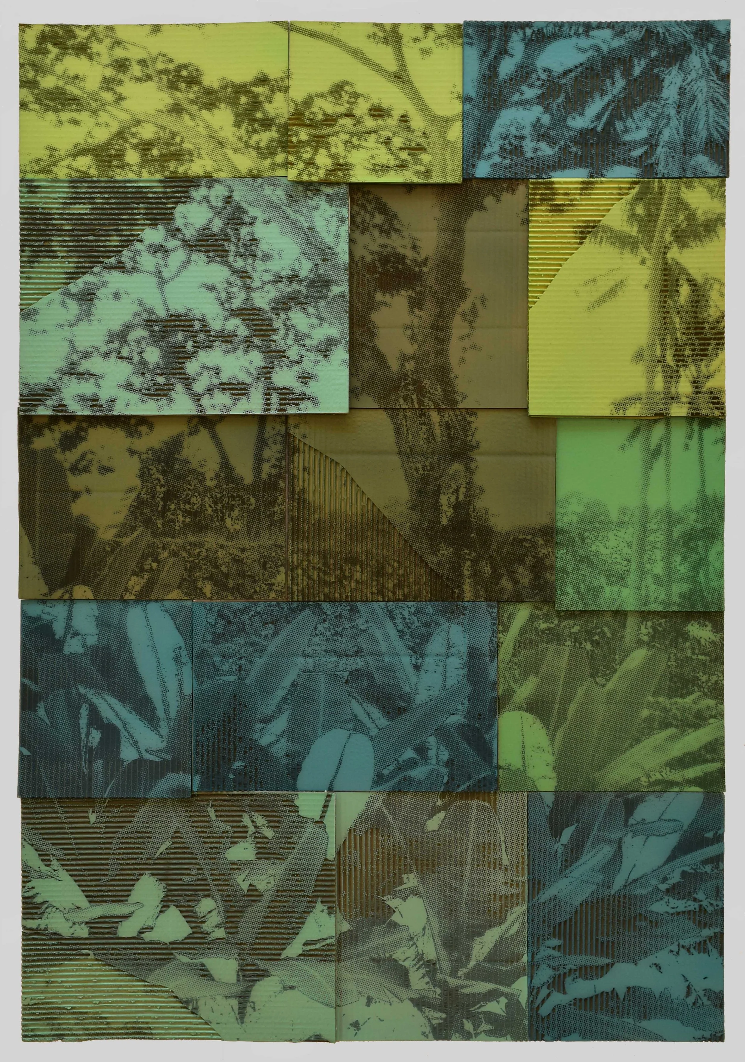 Jill Paz, 'Acacia', 2022, Acrylic on laser-carved cardboard, 93.2 x 134.6 cm (53 x 37 inches)