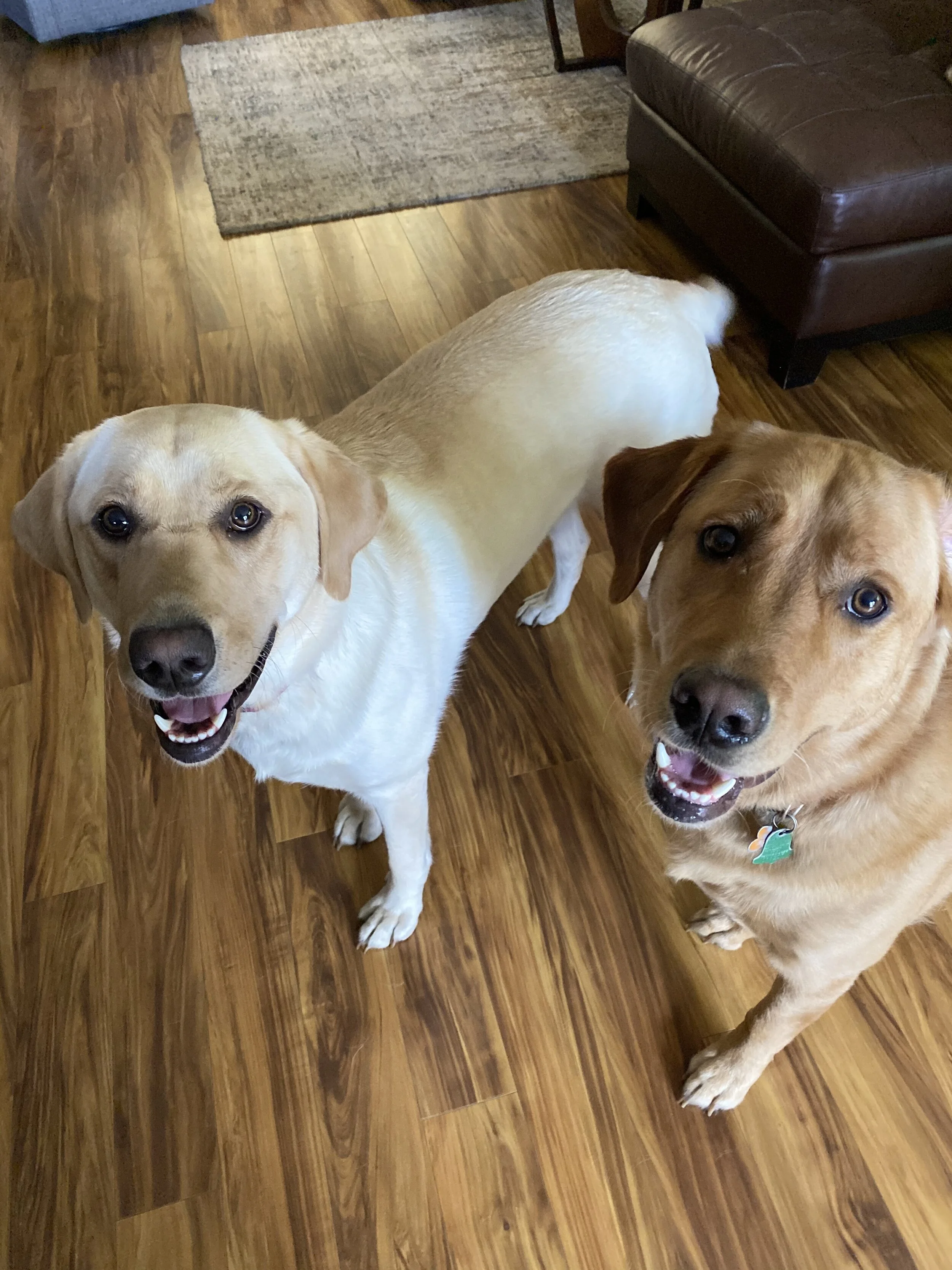 Now they will be so happy...