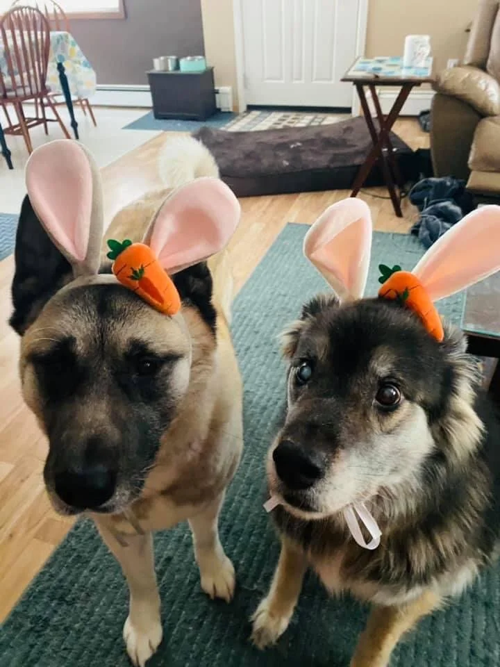 or put them in disguise.