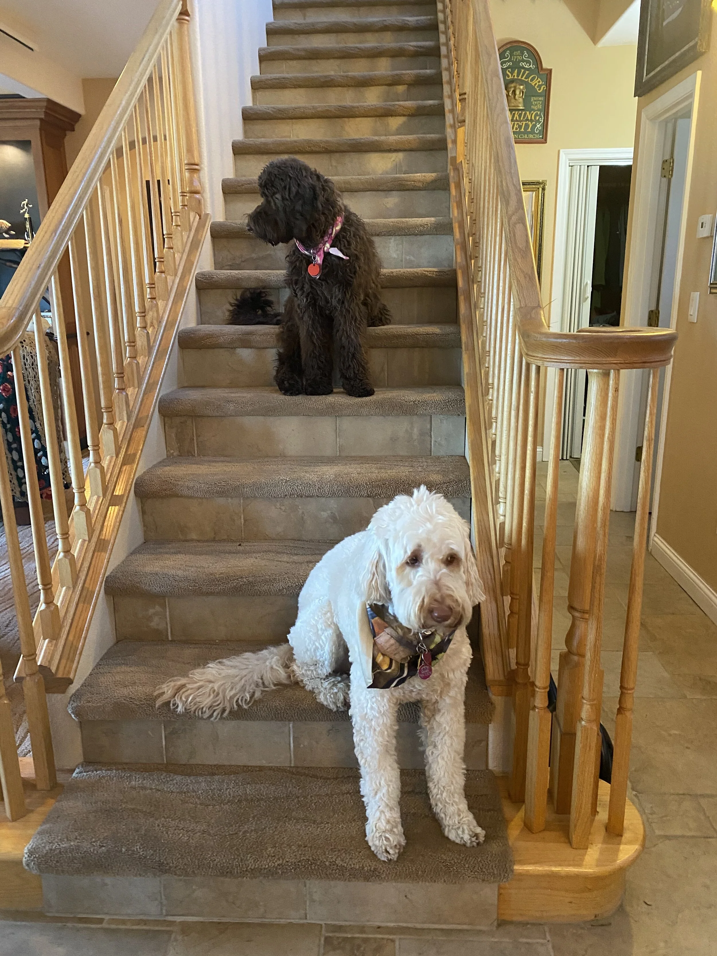 You don't have to leave them at home anymore...