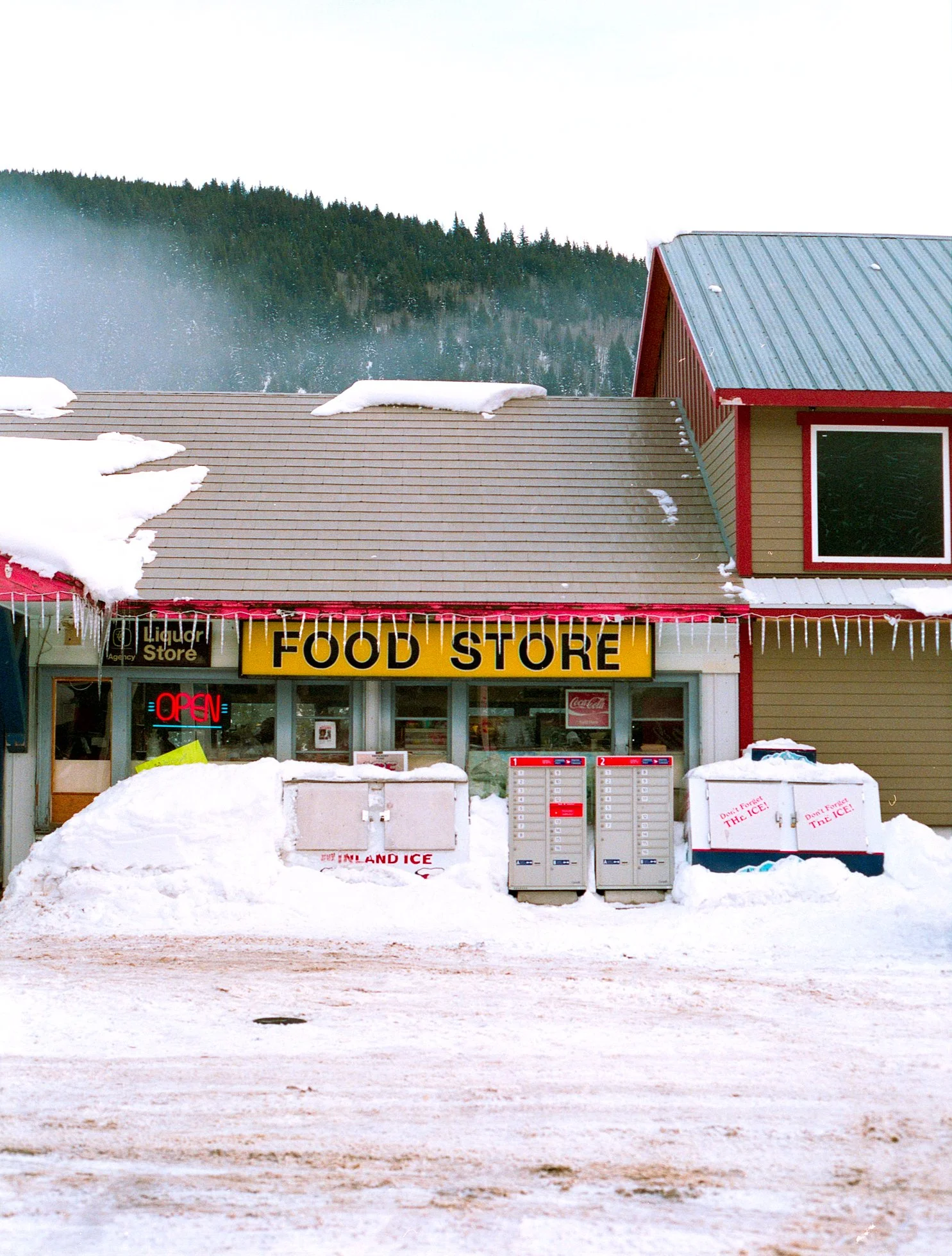 Mamiya645_superia400_p1_bs_6.jpg