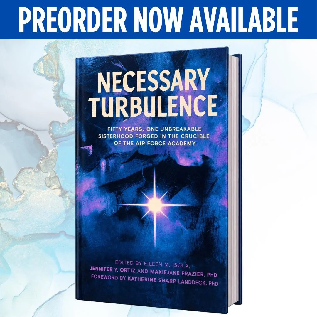 Shows cover of Necessary Turbulence Book