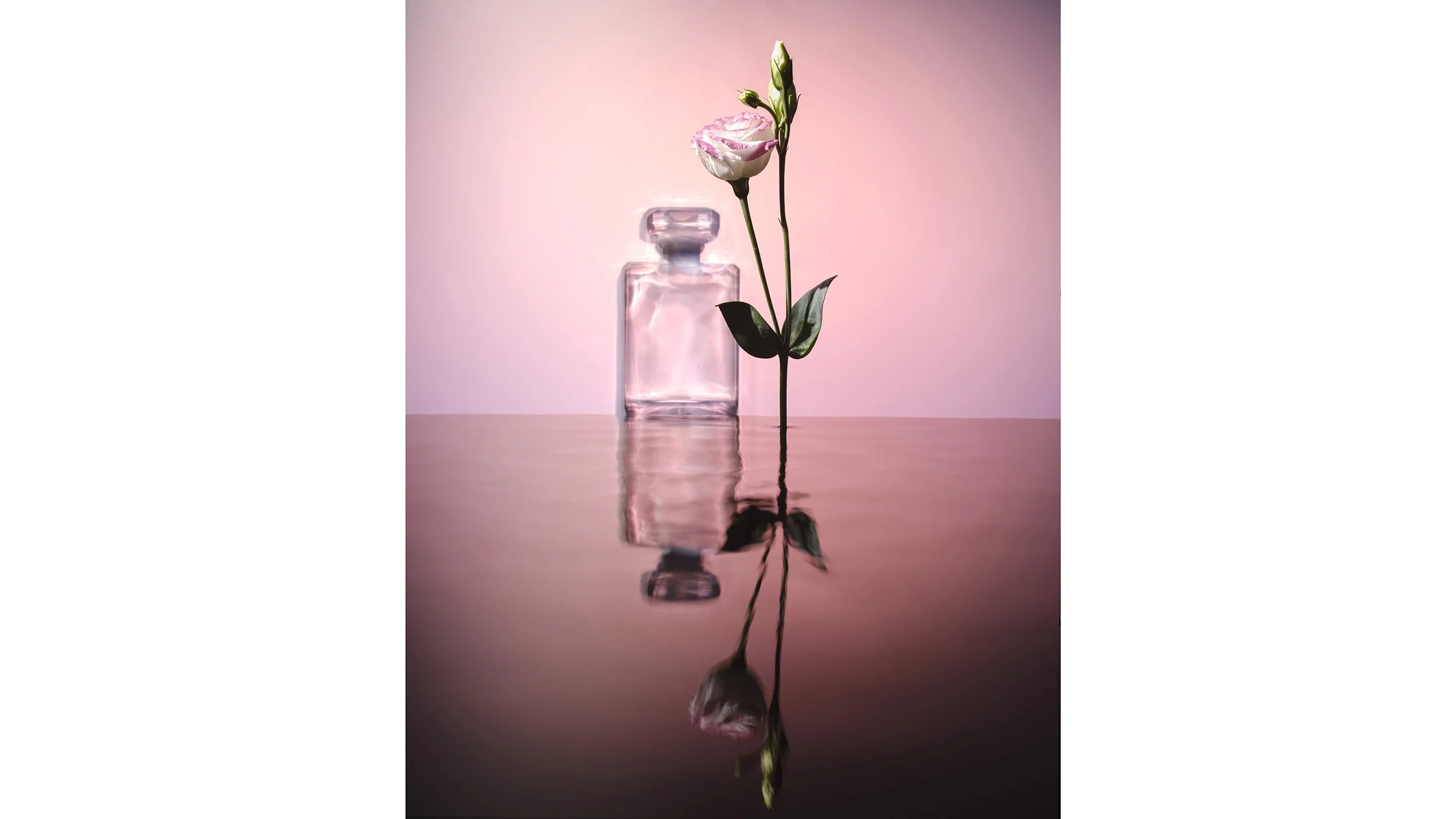 Shadows & Reflections 01
