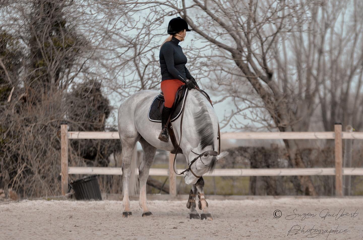 Retour du reportage photos d&rsquo;Agathe et Exclusive 🐴

Date : 03/03/2021

Cavalière : @agathegrosso 
Coach : @guillaume.marcotte 

L&rsquo;ensemble des photos est disponible sur mon site dans les reportages (lien dans ma bio)

#horse #horsesofin