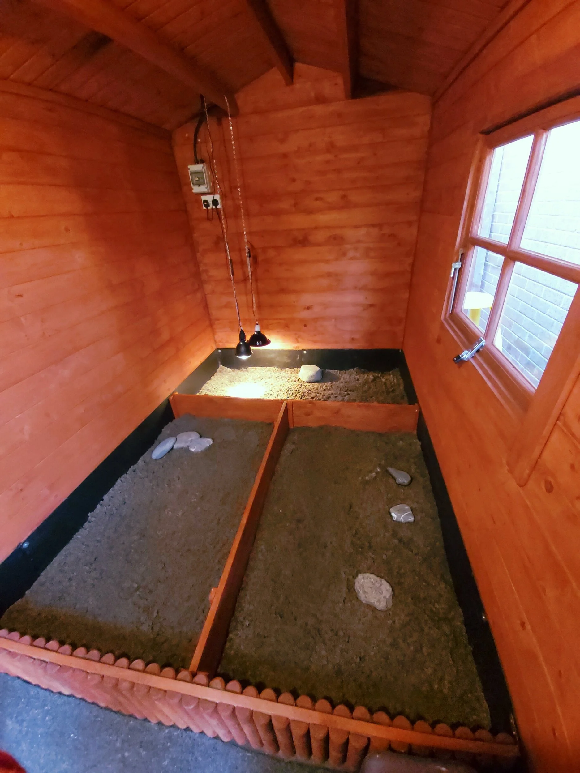 Tortoise Lodge Update 